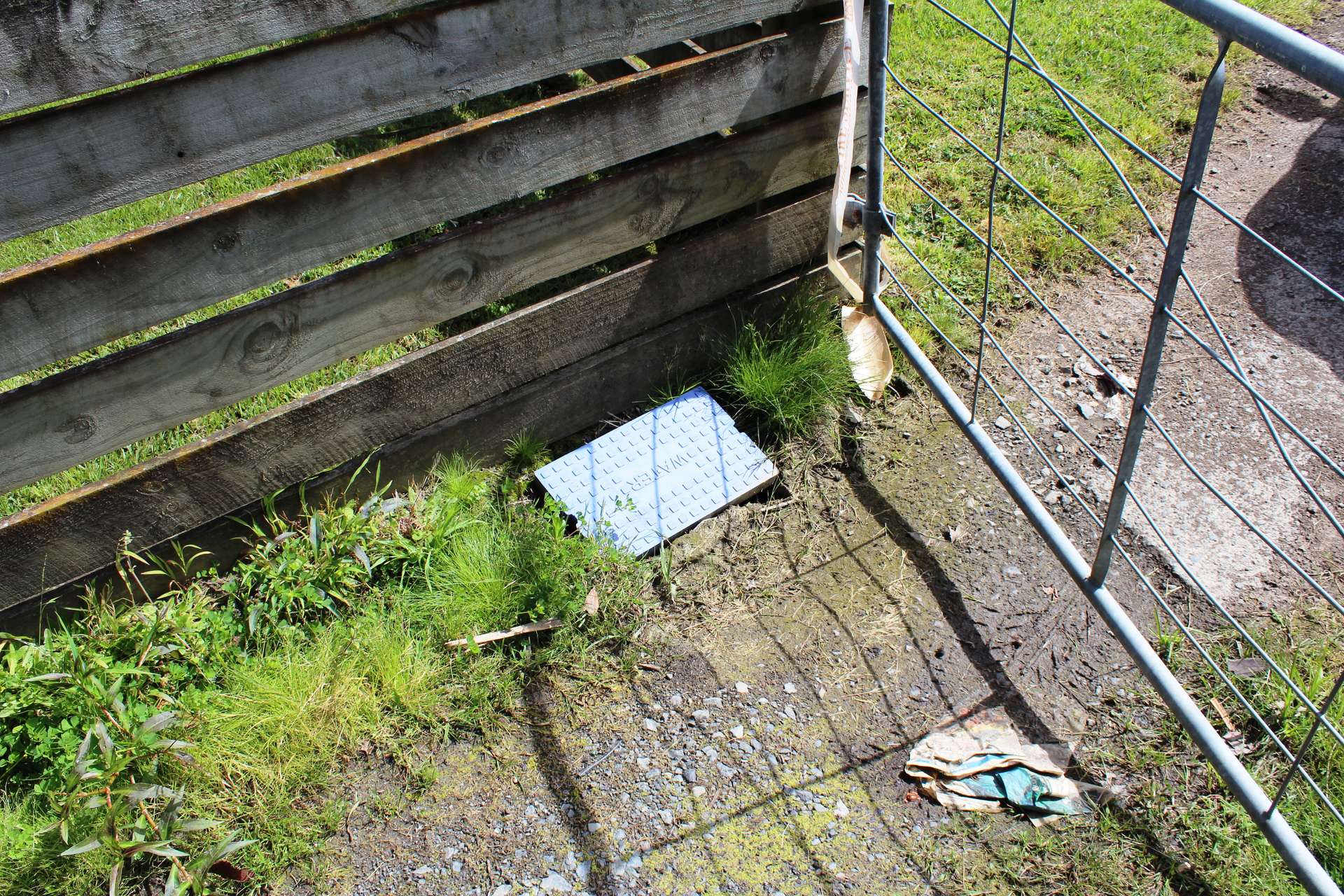 122a Morningside Road photo 7