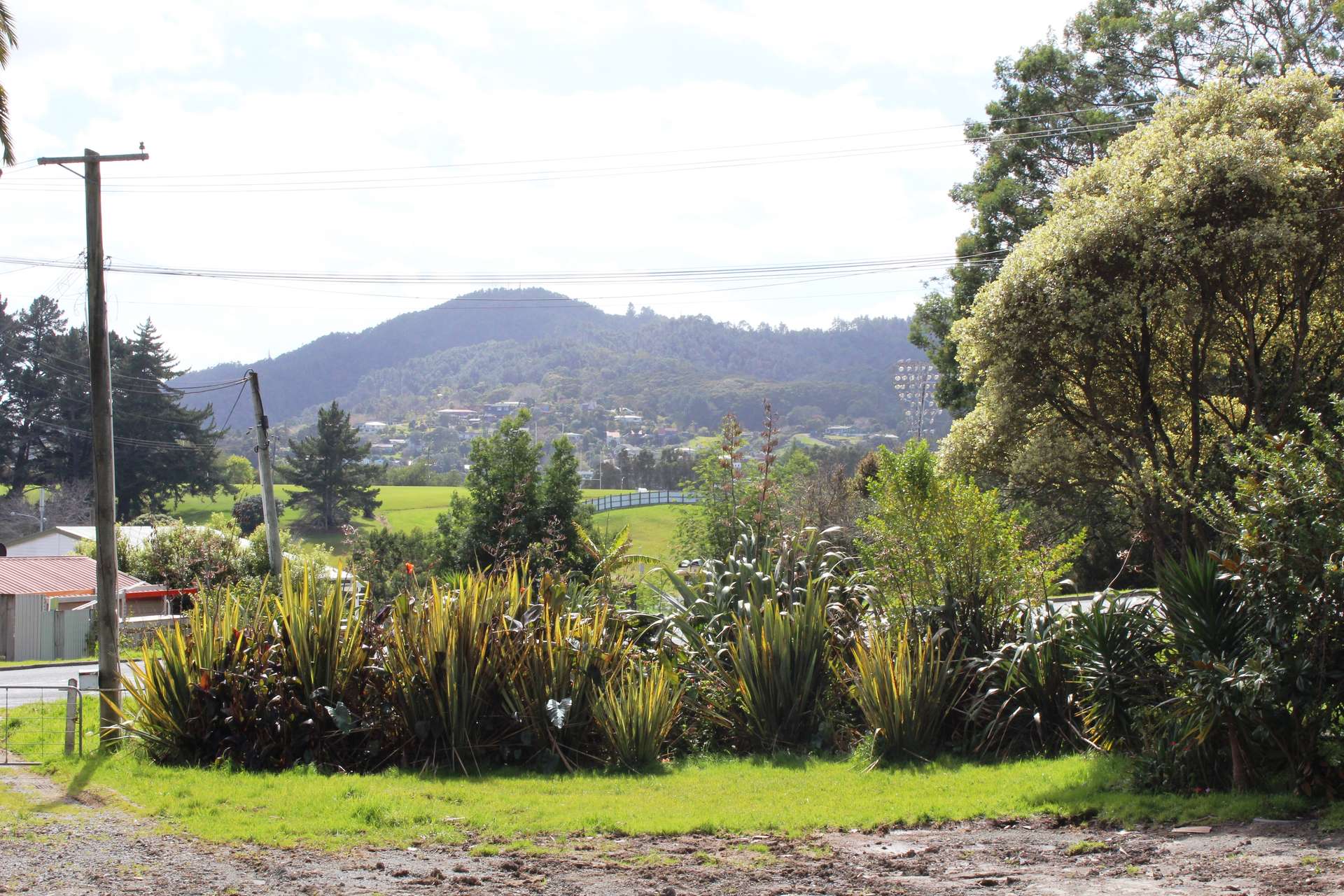 122a Morningside Road photo 3