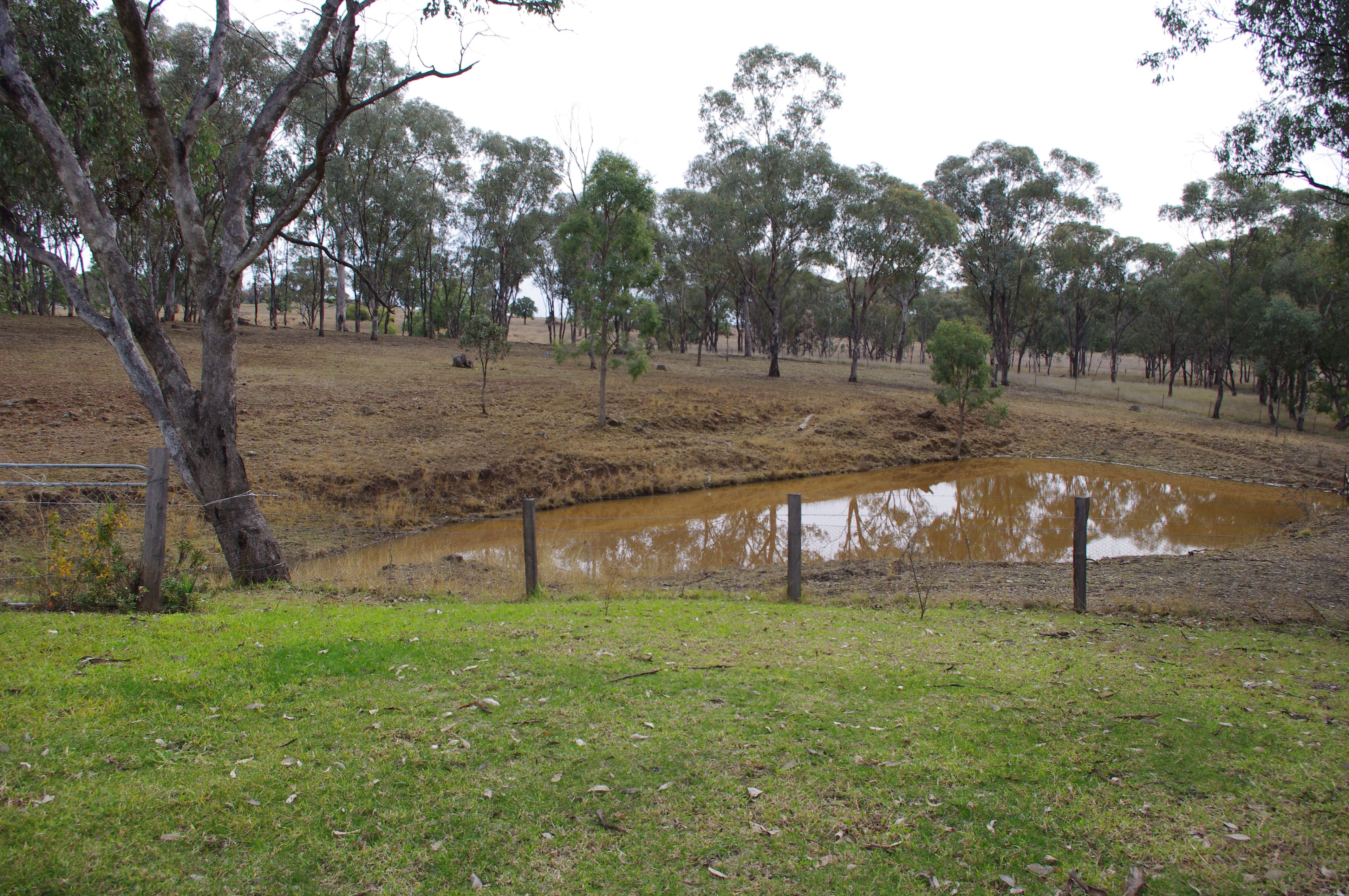 520 FernHill Road, Inverell, NSW 2360