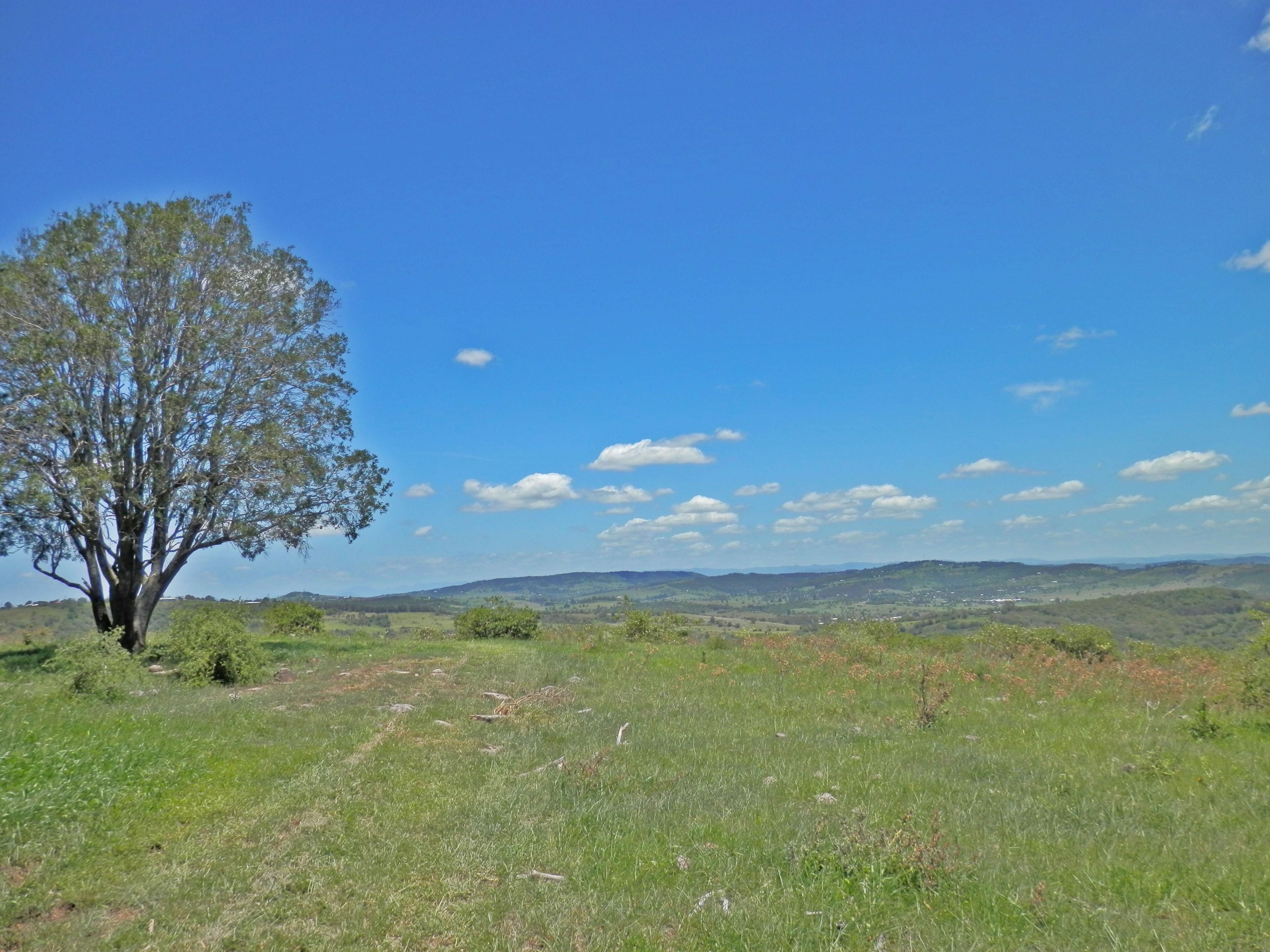 195 Lehmanns Road, Coolana, QLD 4311