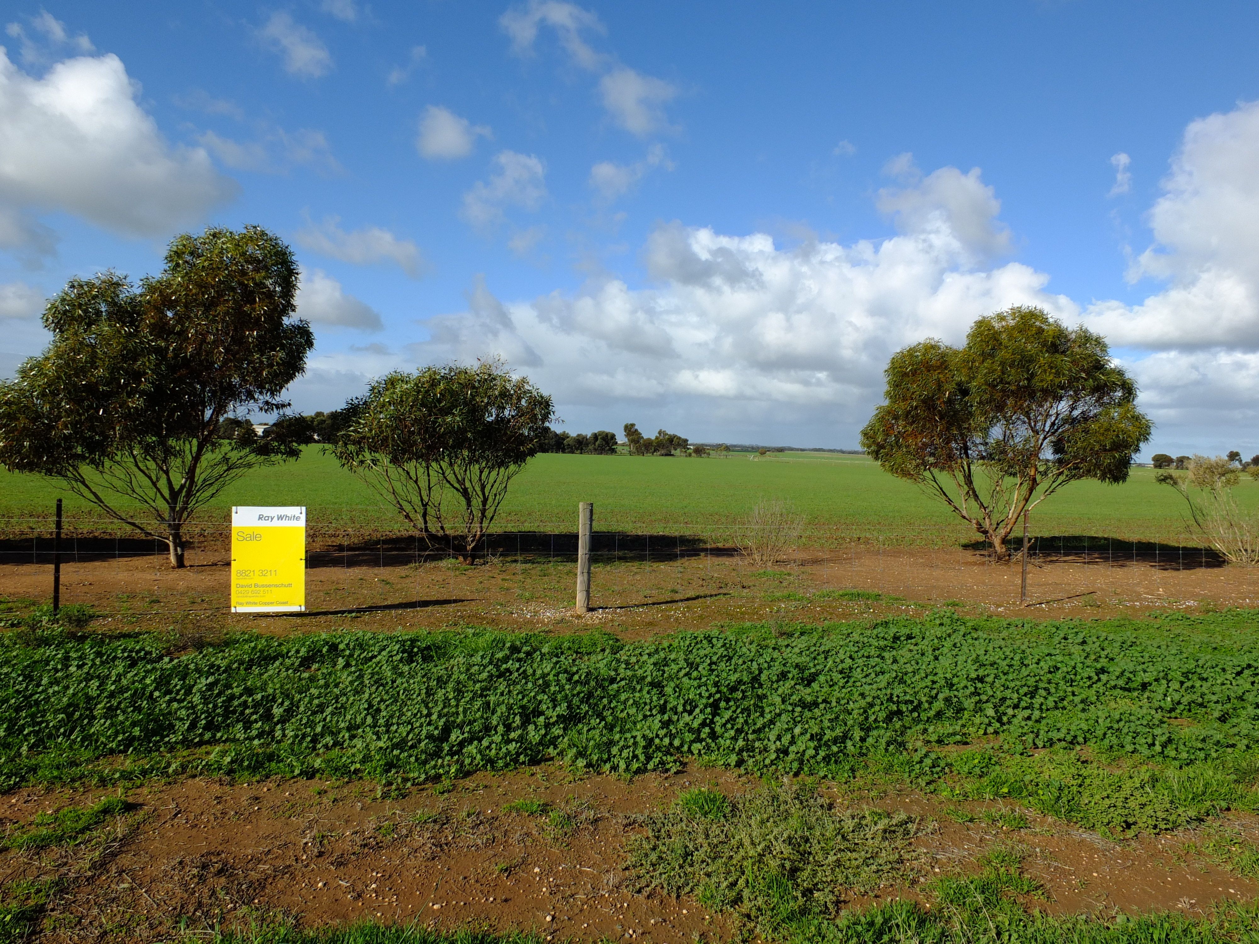 Lot 4 Haselgrove Road, Kadina, SA 5554