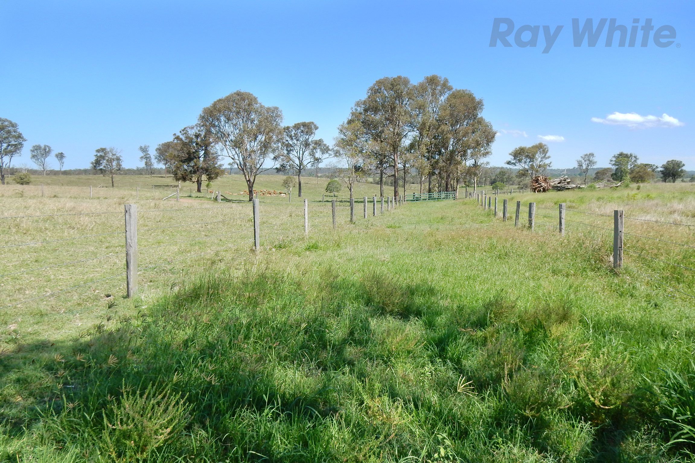 21 Nolans Pocket Road, South Kolan, QLD Rural Rural Livestock