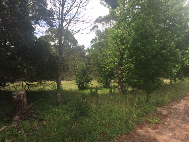 92-94 Bells Line Of Road, Bell, NSW 2786