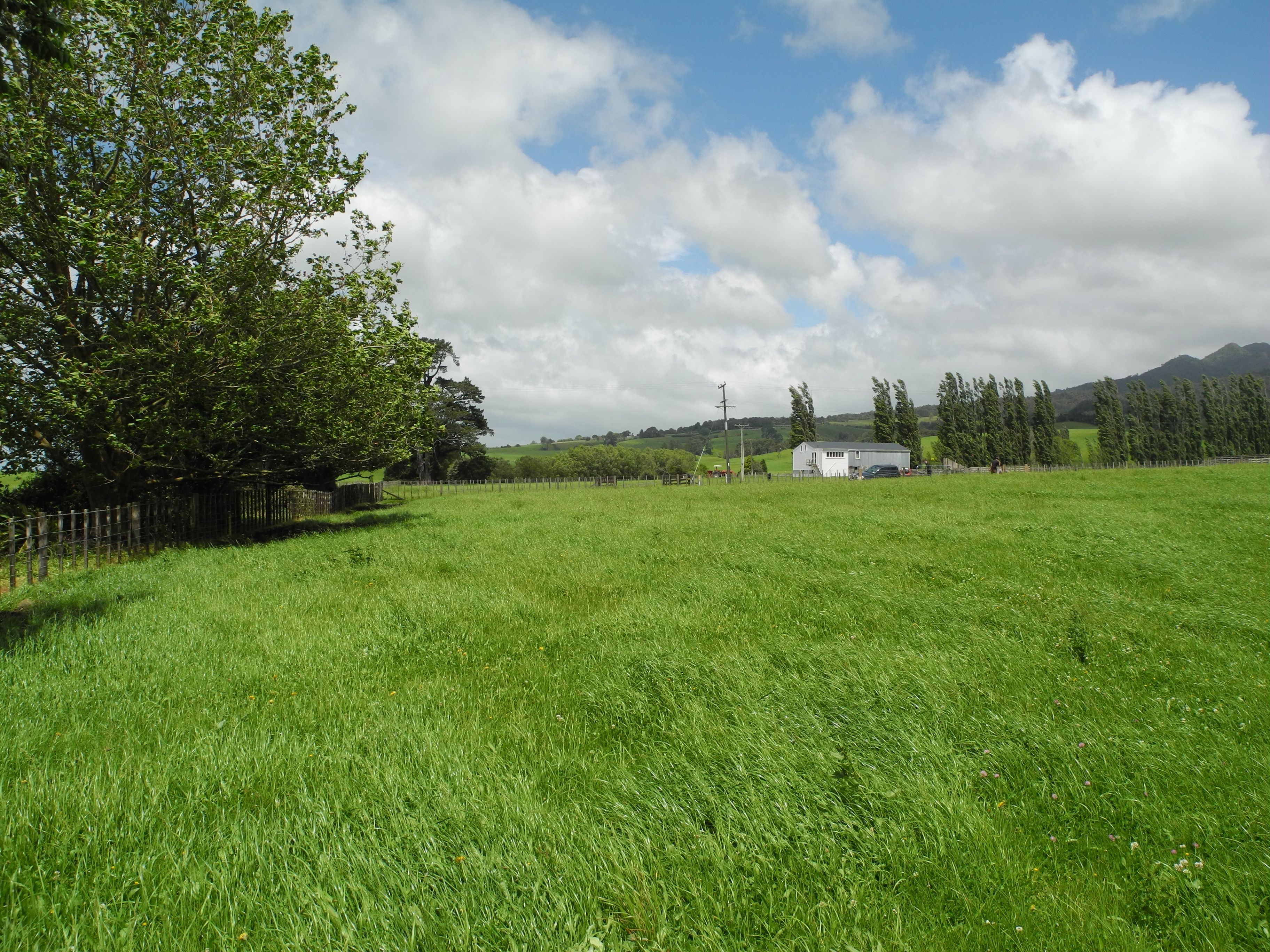 0 Corcoran Road, Te Pahu, Waipa District