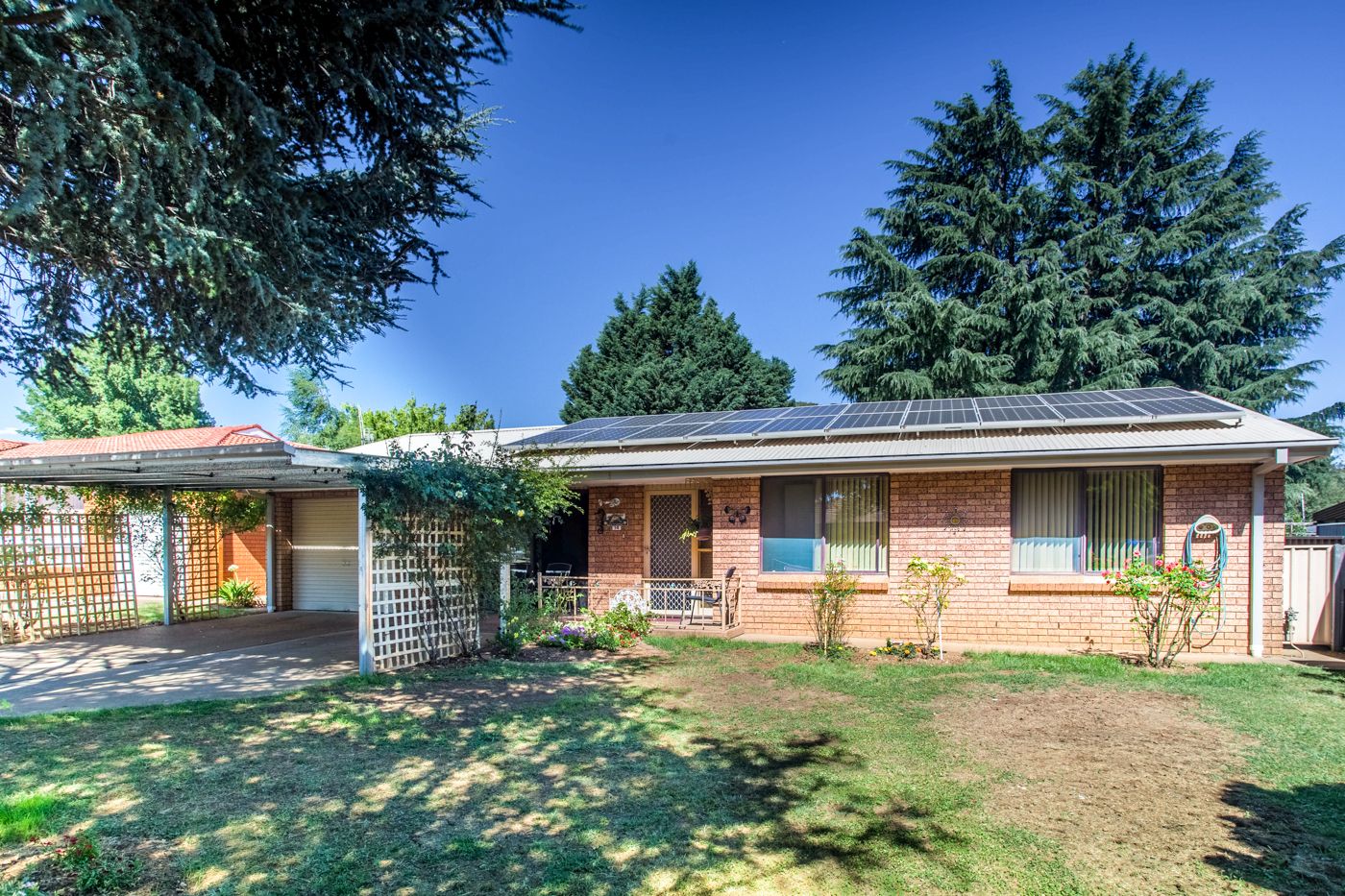 14 Rose Avenue