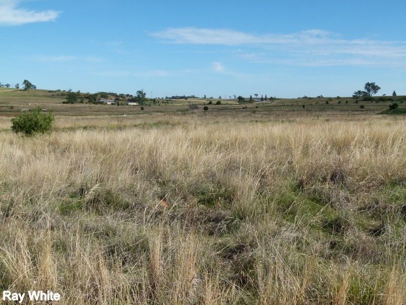 Lot 45 Calarie Road, Forbes, NSW 2871