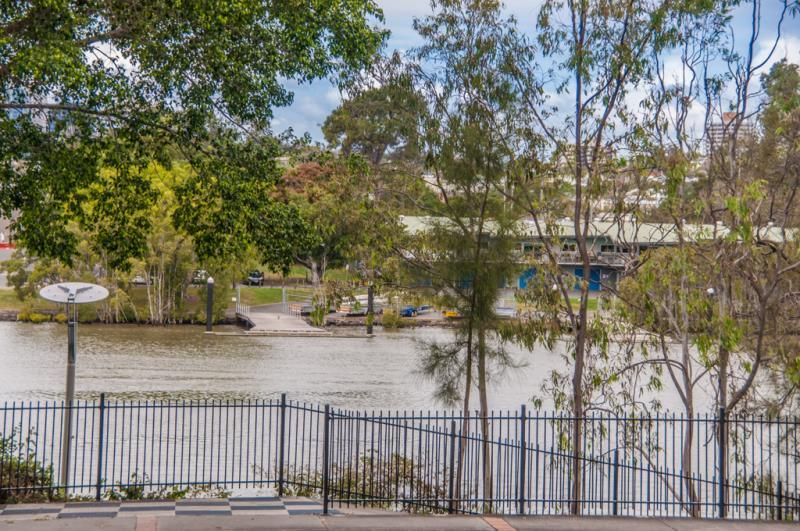 8/355 Coronation Drive, Auchenflower, QLD 4066