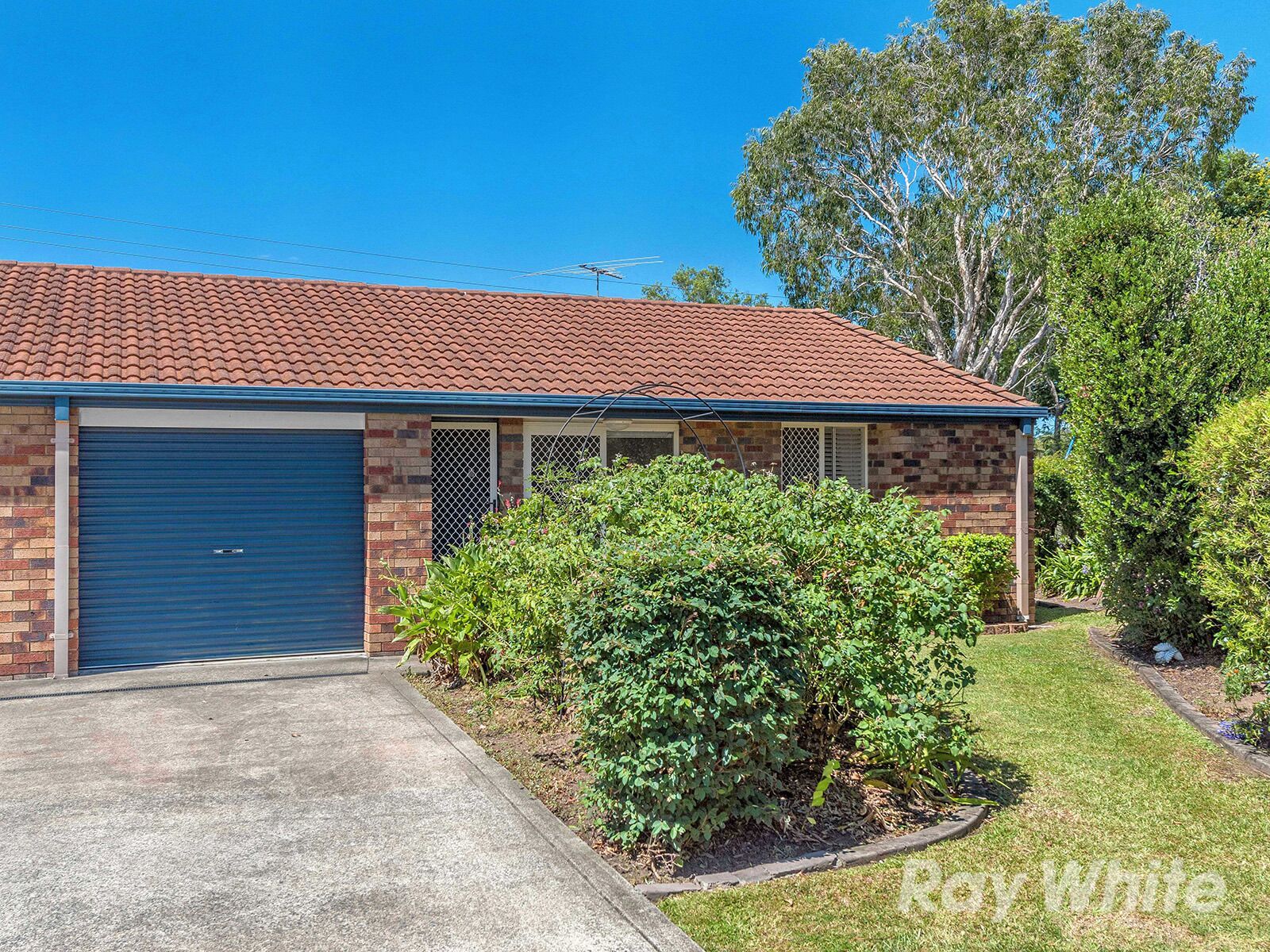 1/63 College Way, Boondall, QLD 4034