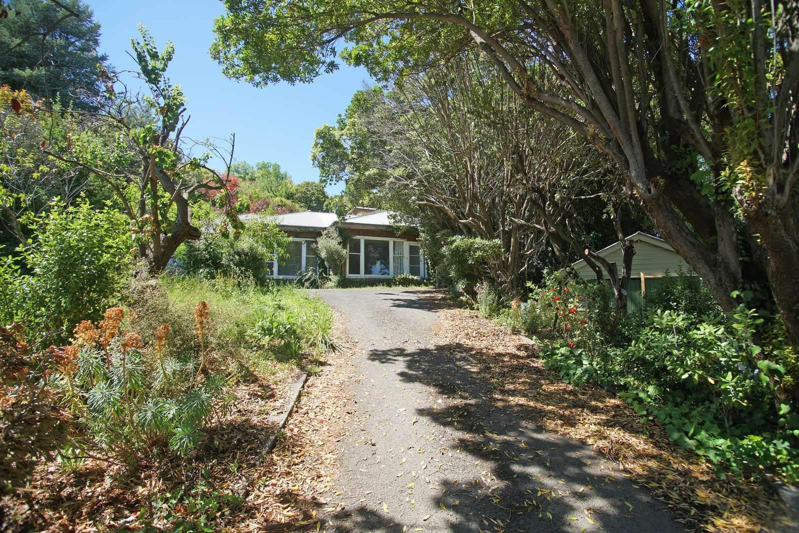 15a Bowenvale Avenue, Cashmere, Christchurch City Real Estate Ray