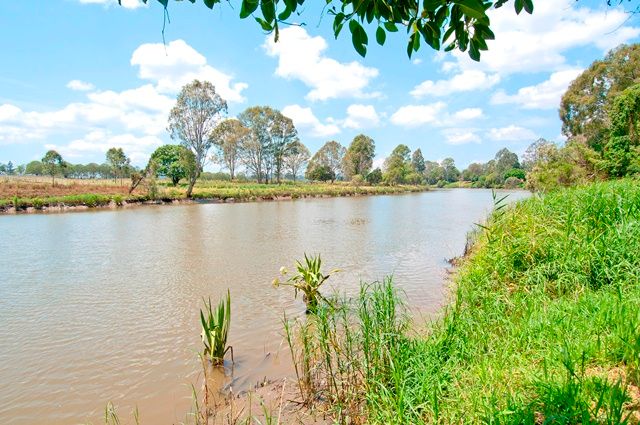 25 Mercury Drive, Bethania, QLD 4205
