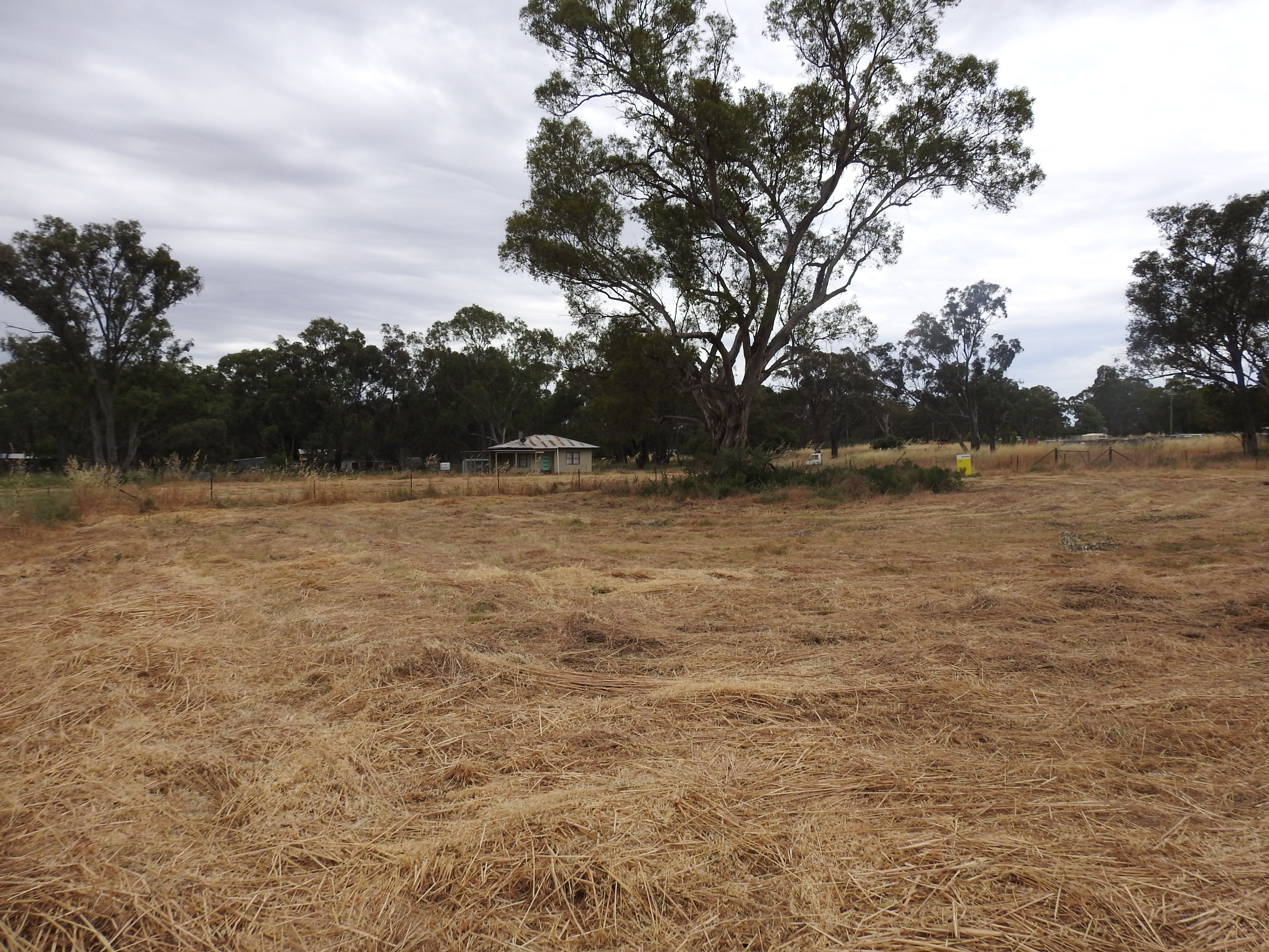24 Monteagle Stock Route Road, Monteagle, NSW 2594