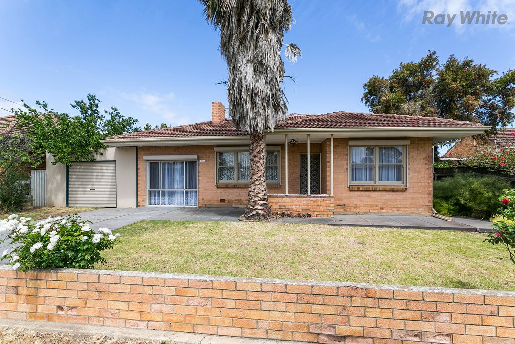 20 Tarranna Avenue, Park Holme, SA 5043
