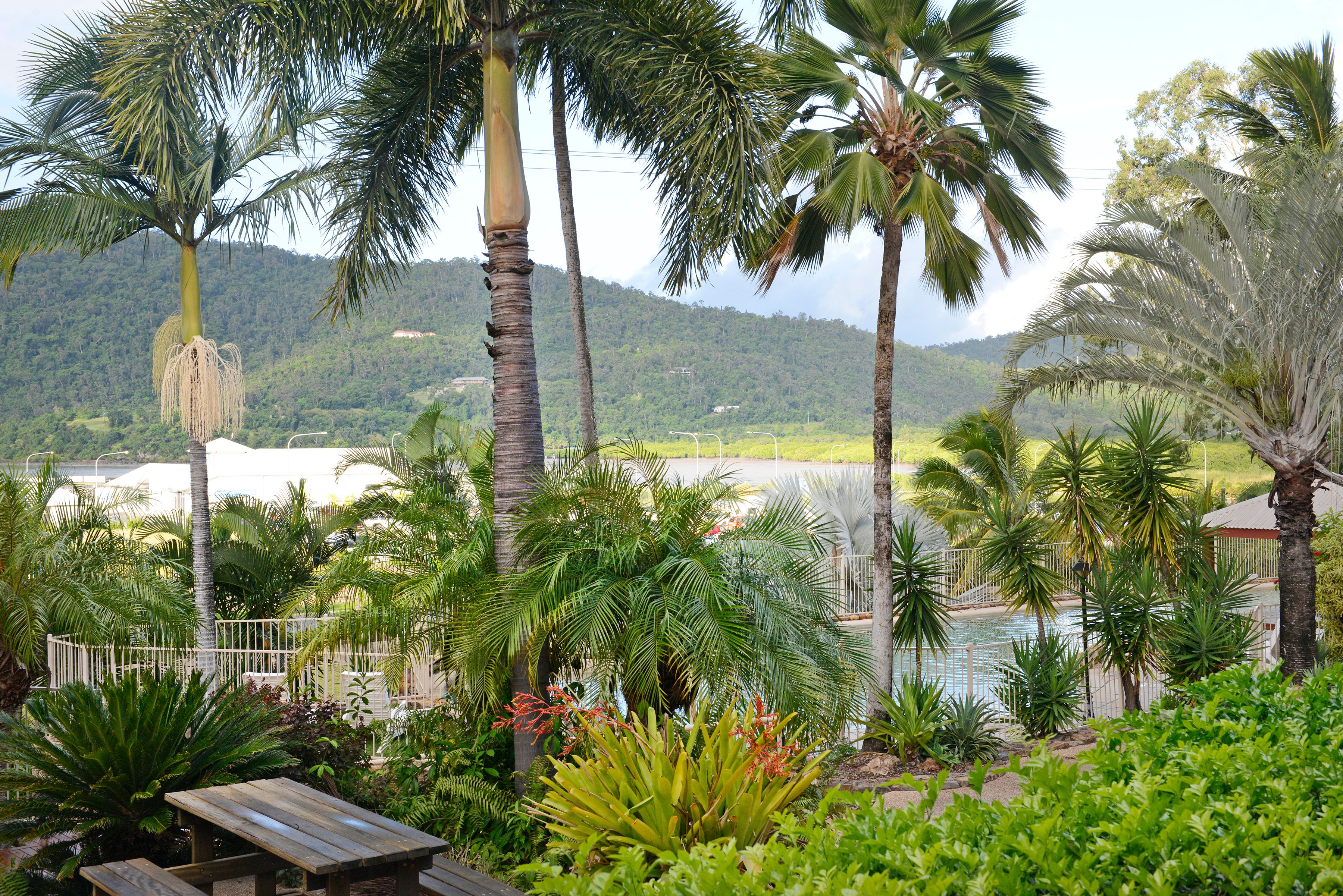 14 Hermitage Drive, Airlie Beach QLD 4802