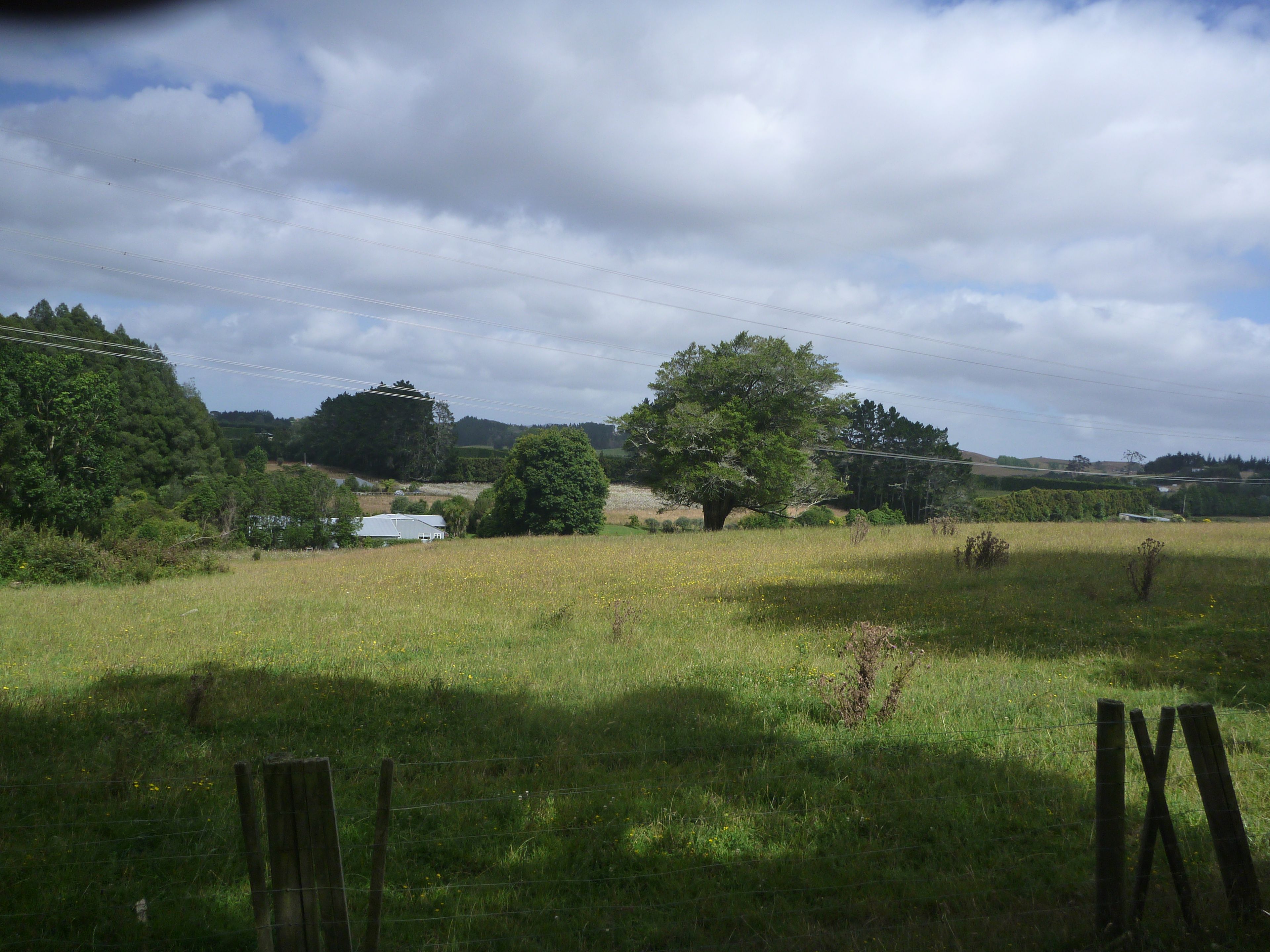 346 Pokeno Road, Pokeno, Franklin