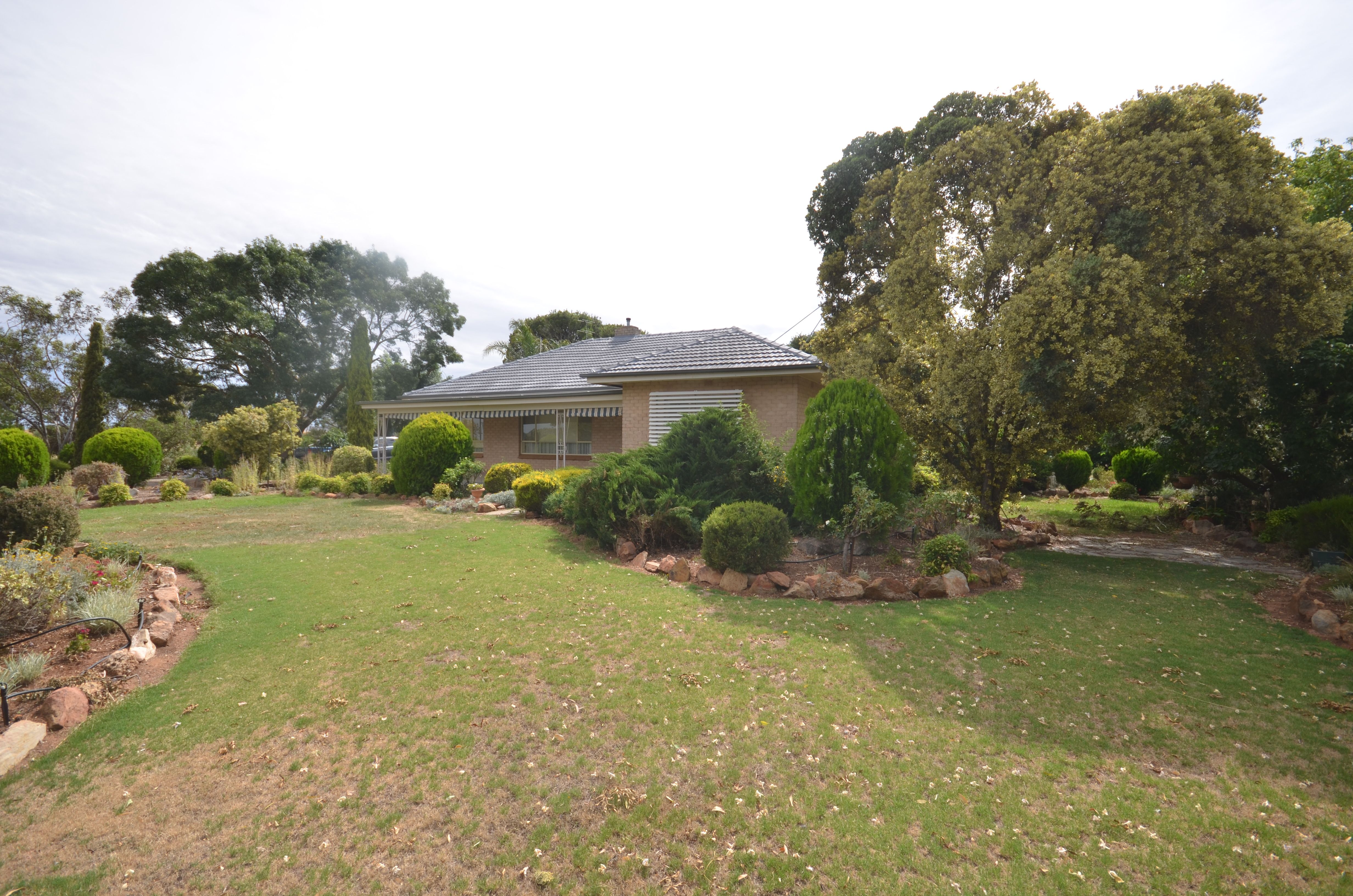 206 Lally Road, Hill River, SA 5453