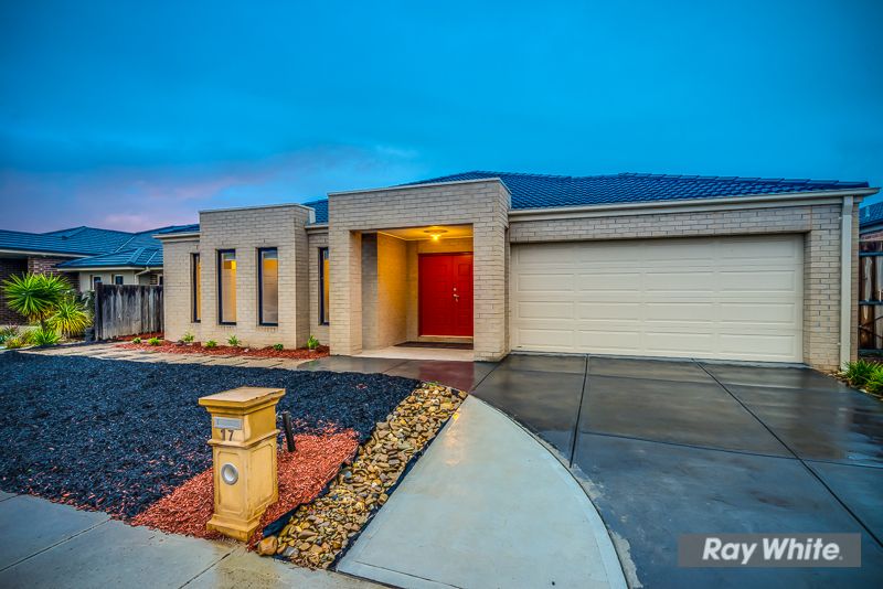 17 Amsterdam Avenue, Tarneit, VIC 3029