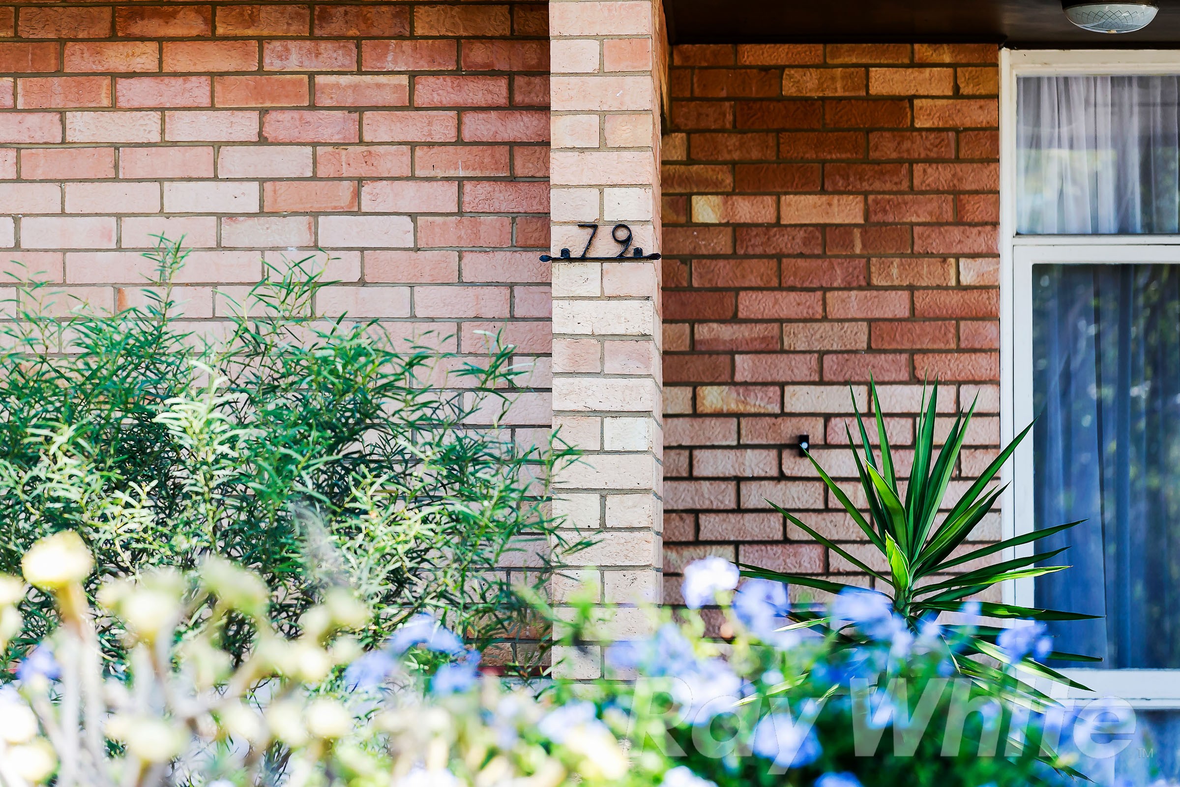 79 Quinlan Avenue, Pasadena, SA 5042