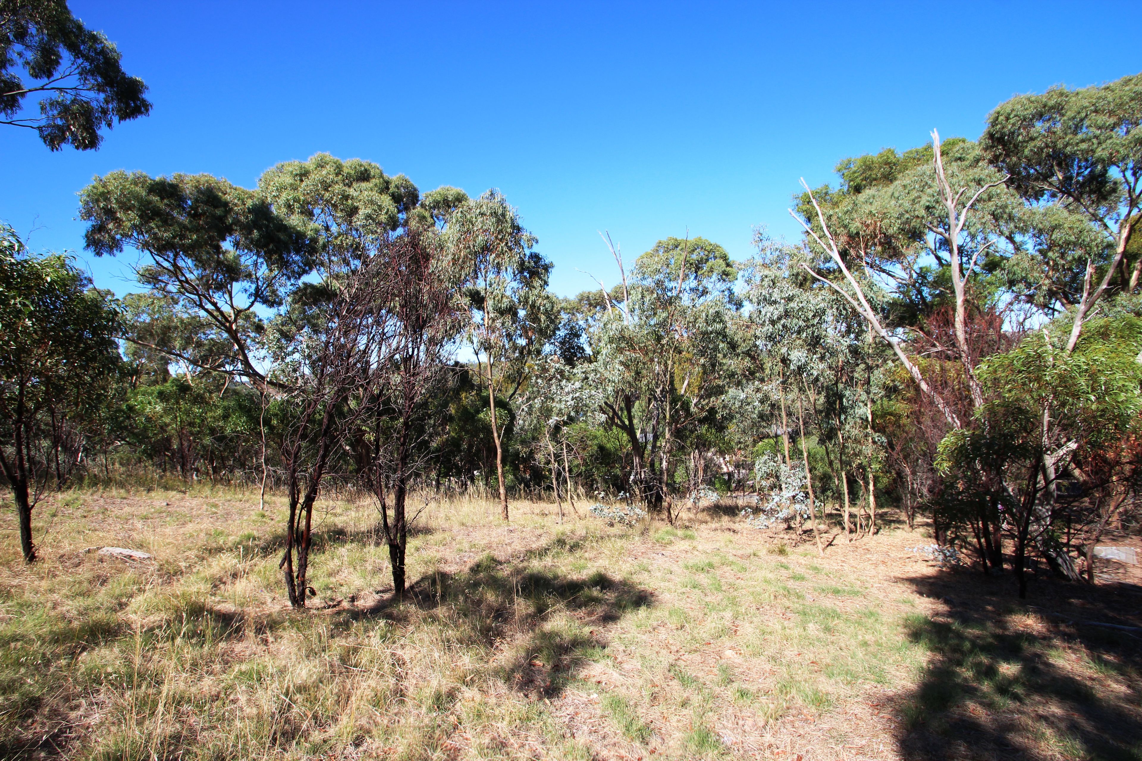 Lot 61 White Hut Road, Clare, SA 5453