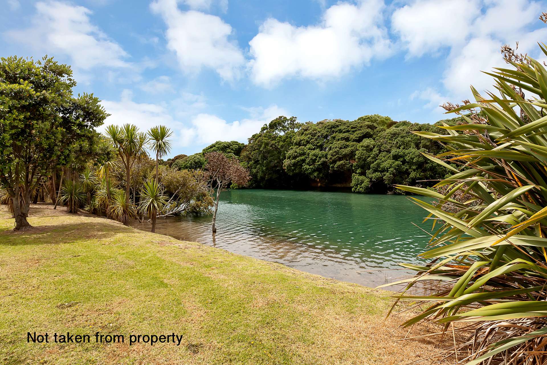 10 Waikohua Place photo 7