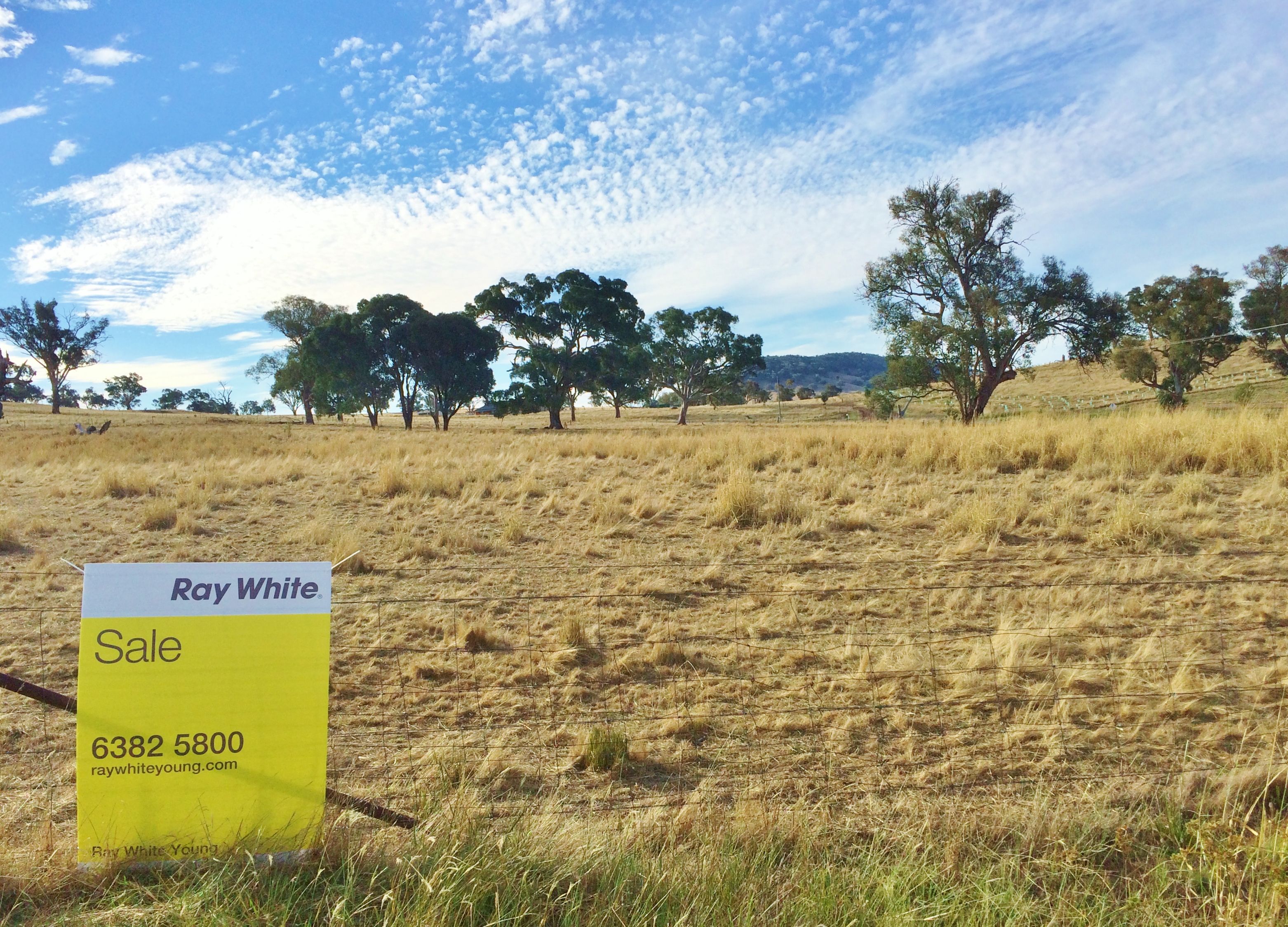 109 Dowling Drive MURRINGO via, Young, NSW 2594