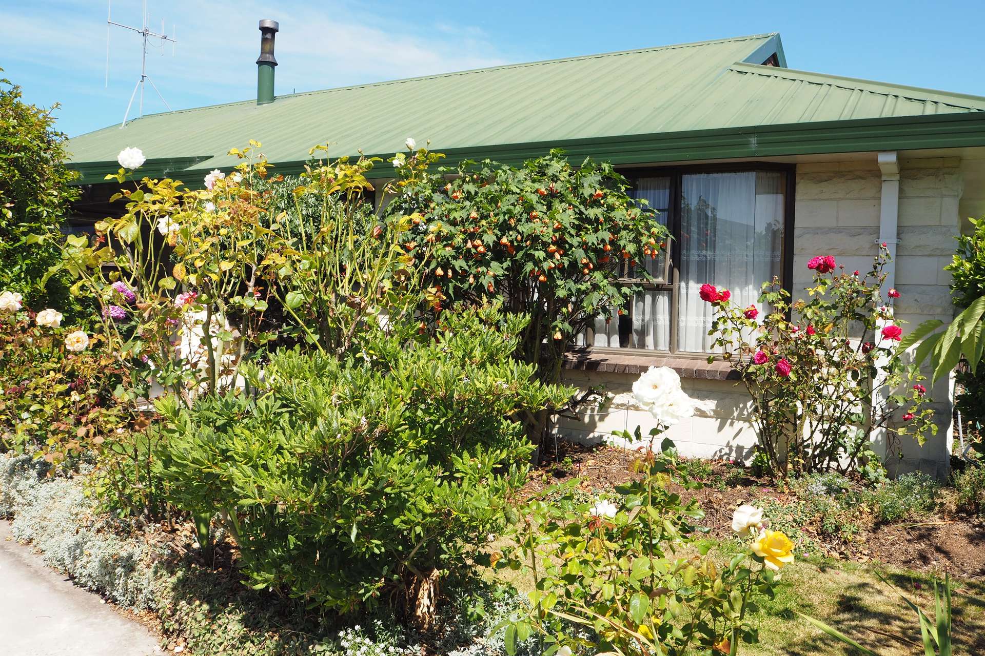 13 Girvan Street, Oamaru, Waitaki District Real Estate Ray White