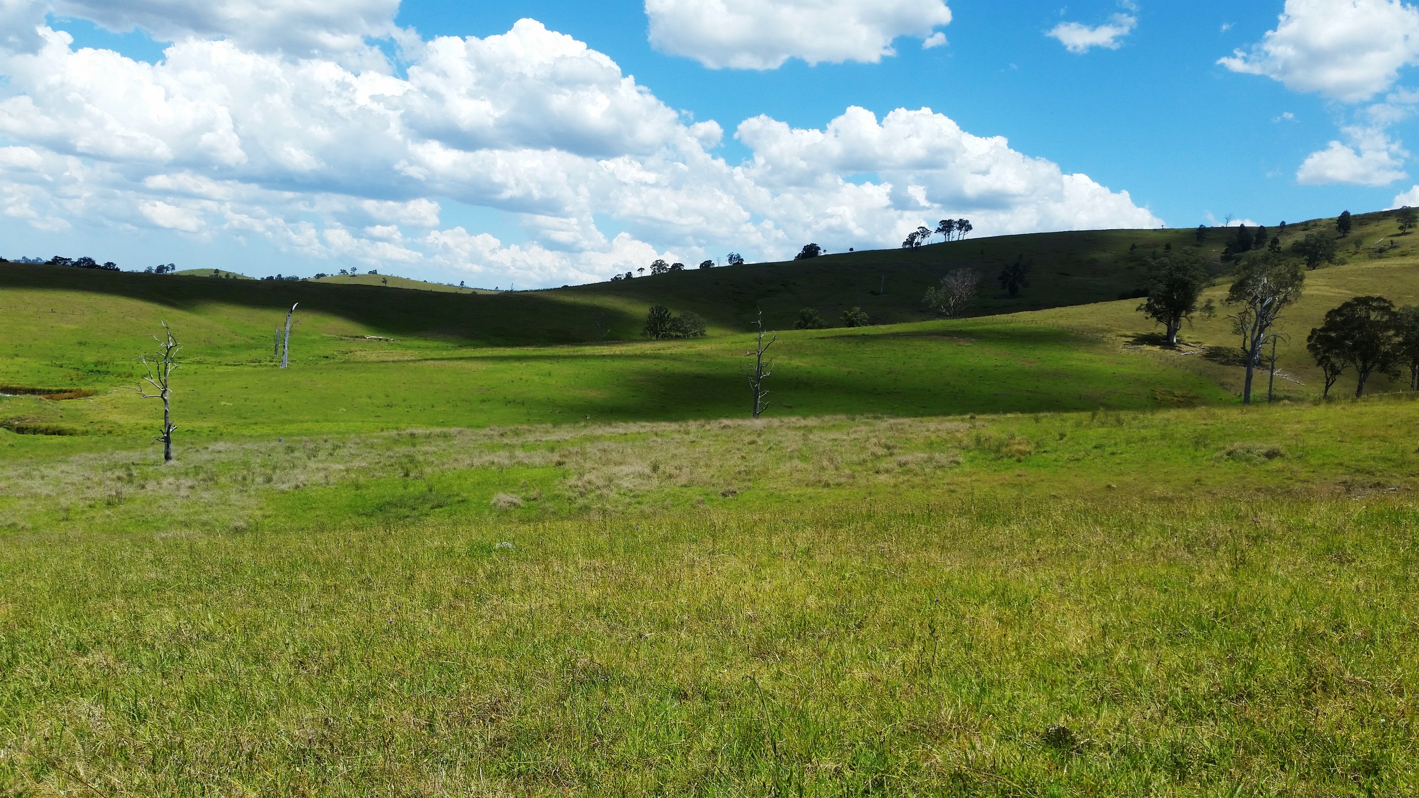 Lot 13 DP621541 Hennys Road, DUNGOG, NSW 2420