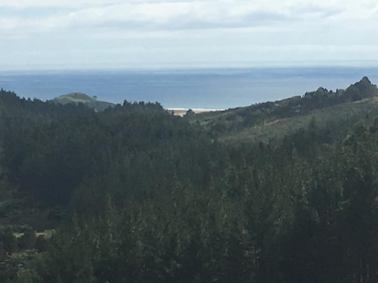 Kaeo, Far North District