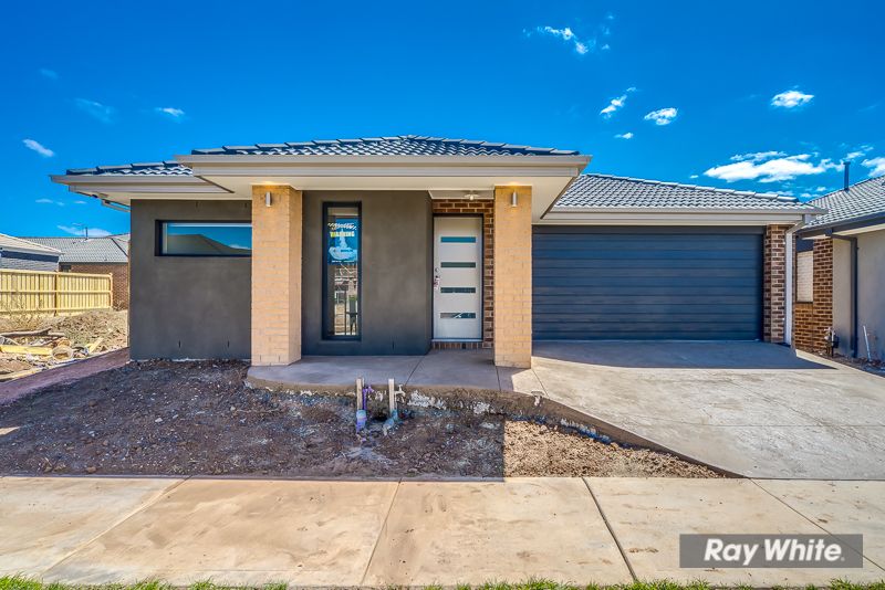 6 Blush Terrace, TARNEIT, VIC 3029