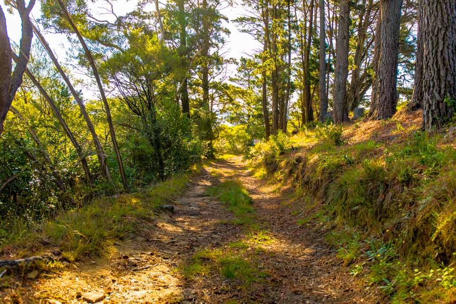 Lot 3 Helvetia Rd (Access from Bundarra St), BLACKHEATH, NSW 2785