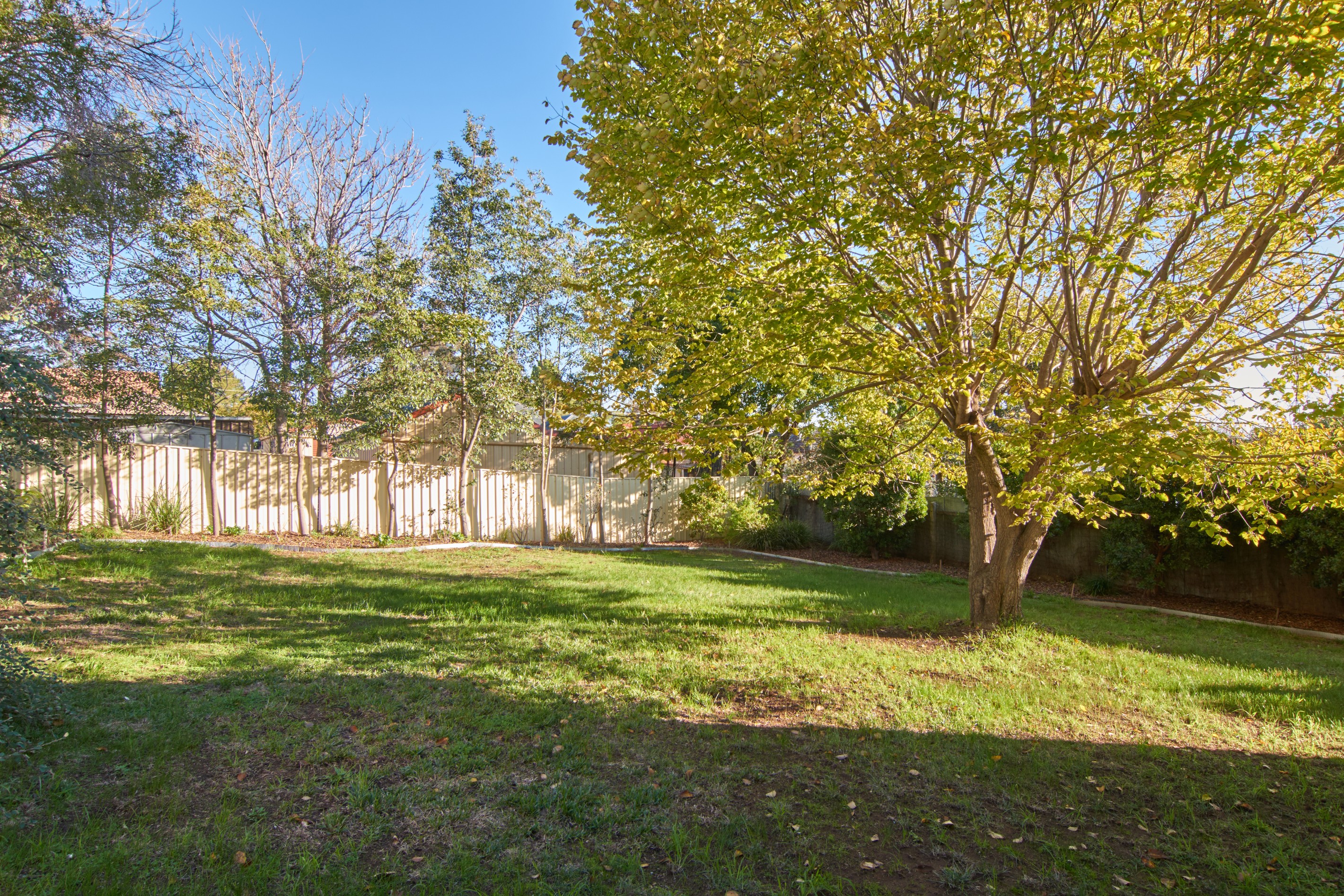 36 Alexander Street, Ashmont, NSW 2650