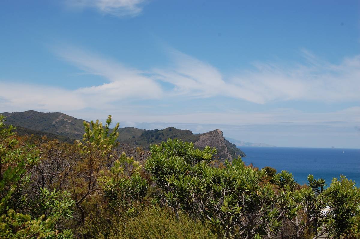 30 and 32 Moana View Road, Great Barrier Island, Great Barrier Island Real Estate Ray White