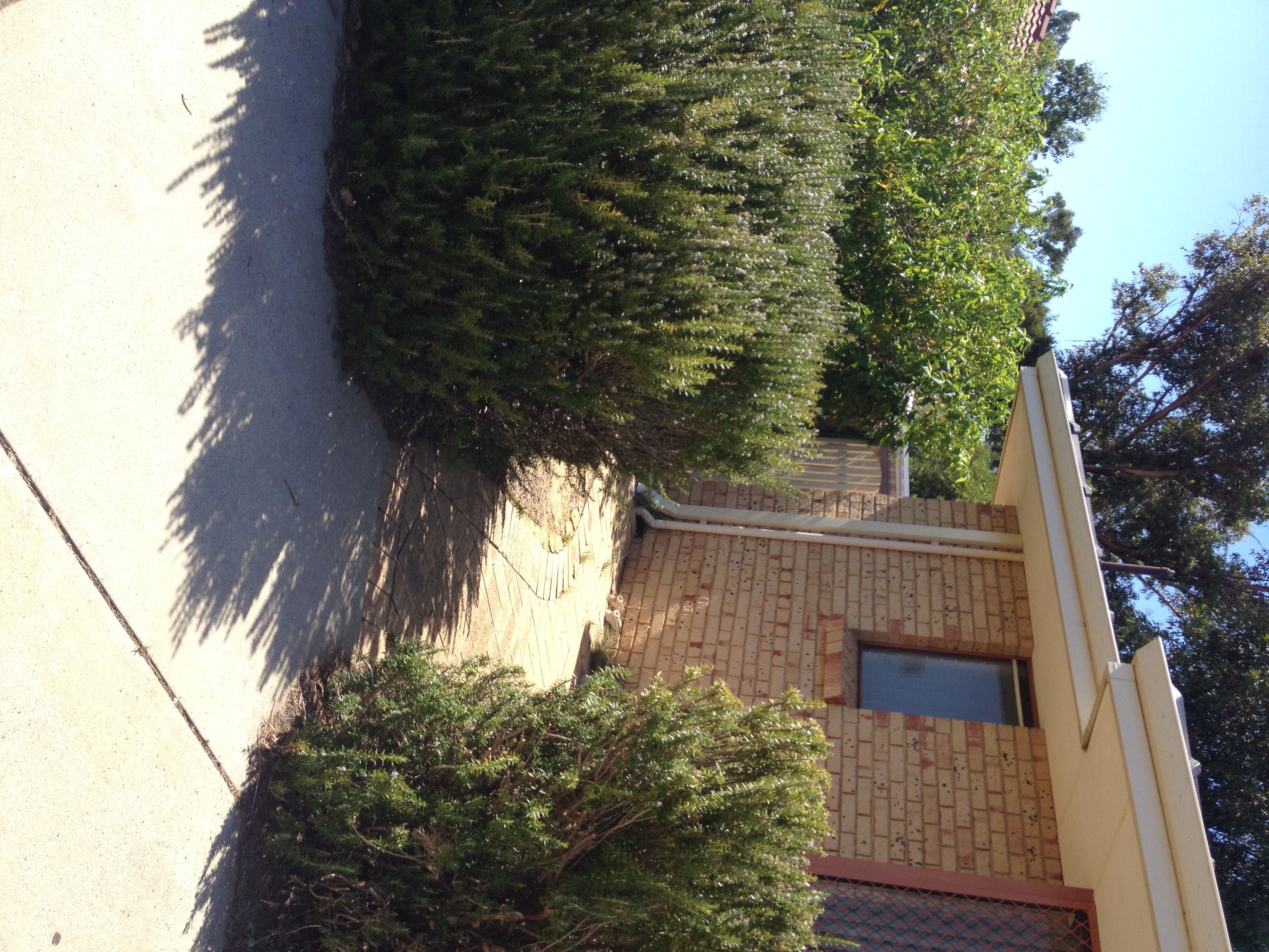 12G Green Court, Kardinya, WA 6163
