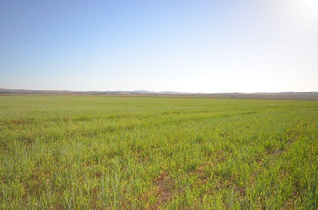 Sings Road, MANOORA, SA 5414