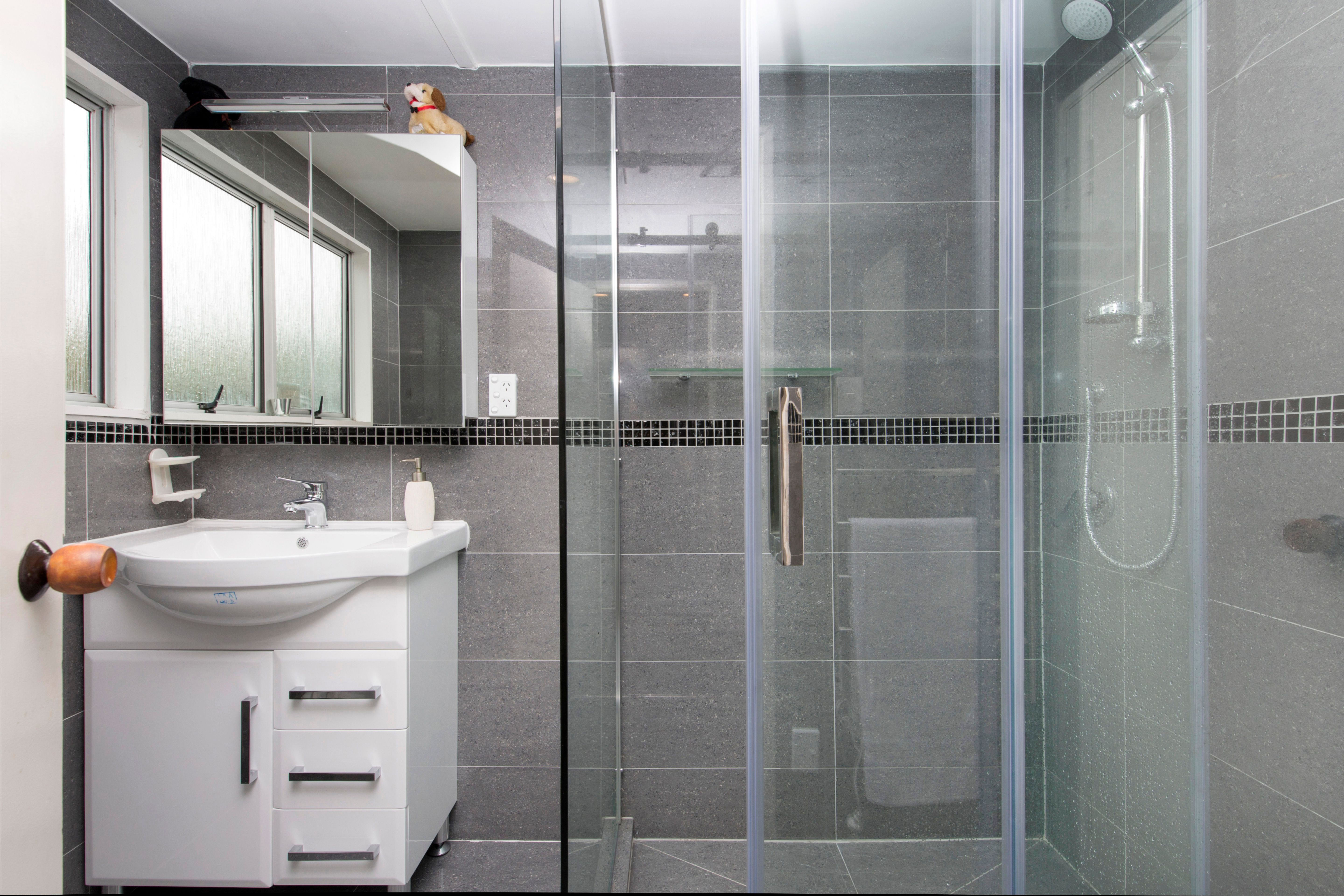 20C Morrie Laing Avenue, Mt Roskill, Auckland City