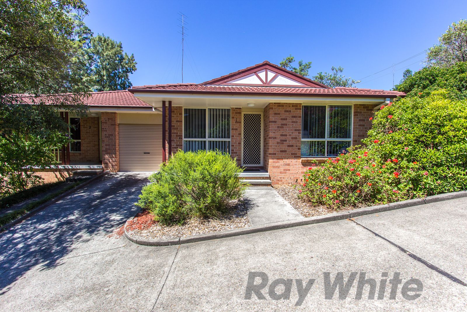 21 Edward Street, Charlestown NSW 2290