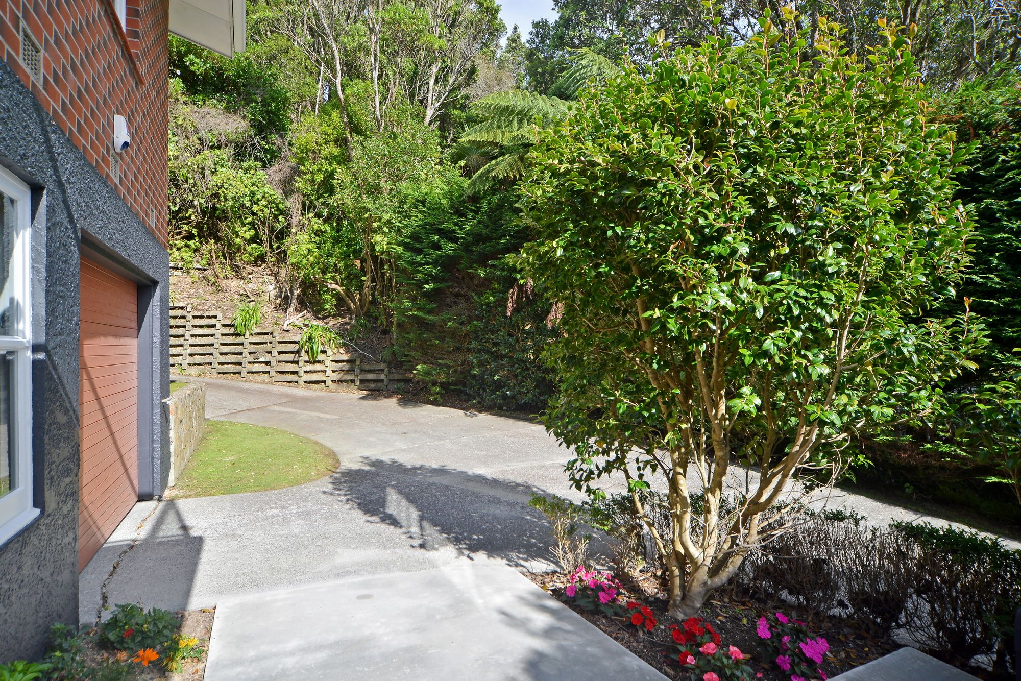 41 Albemarle Road, Northland, Wellington City