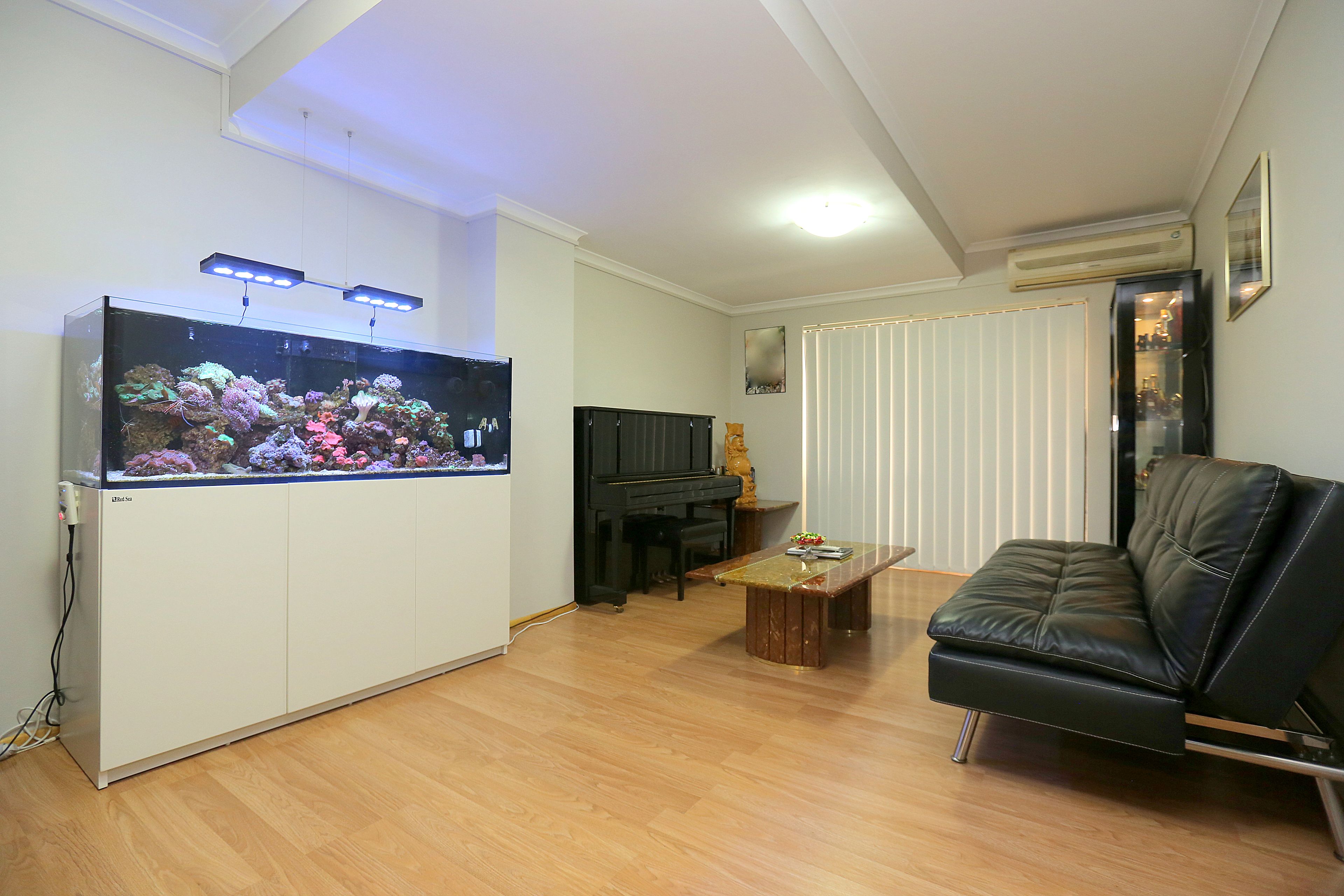 B251/62-74 Beamish Street, Campsie, NSW 2194