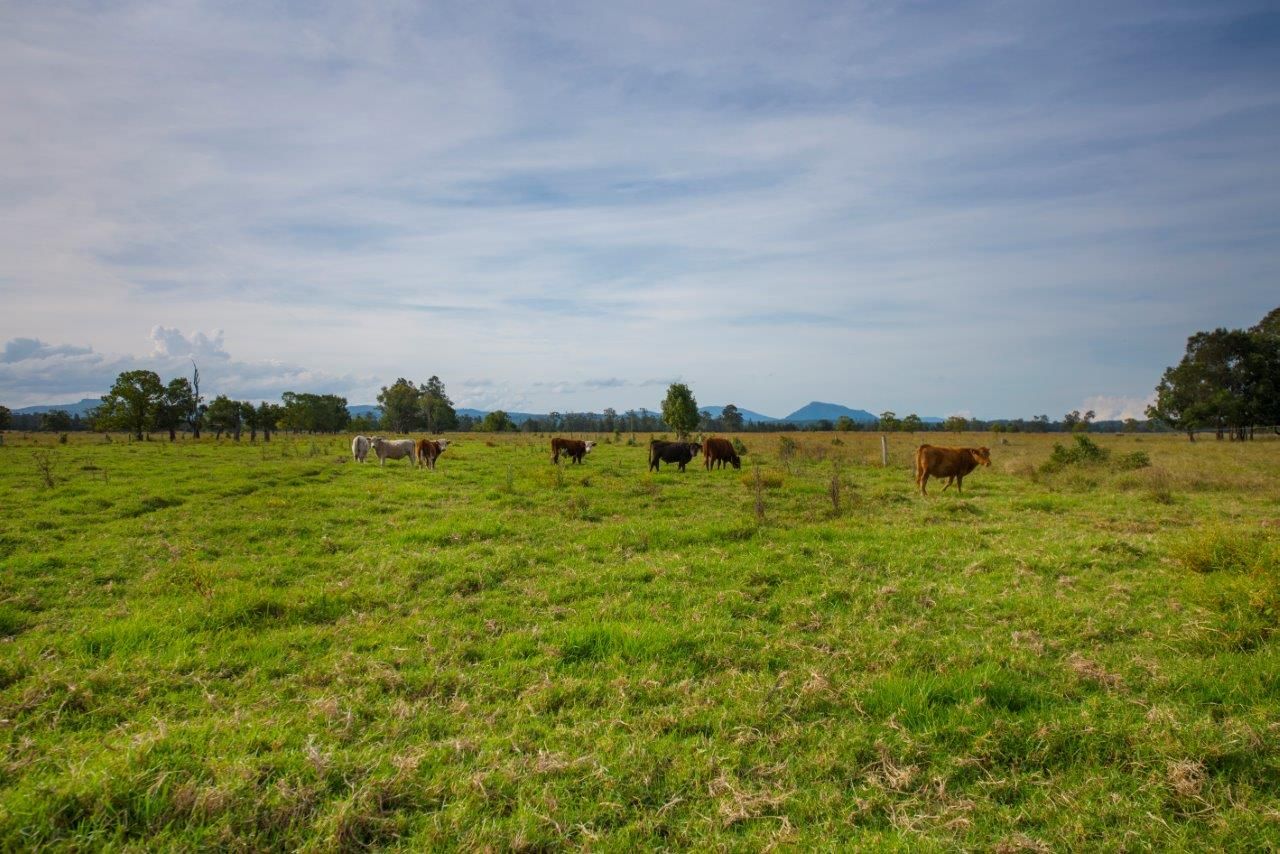 497 Moto Road, Moto, NSW 2426