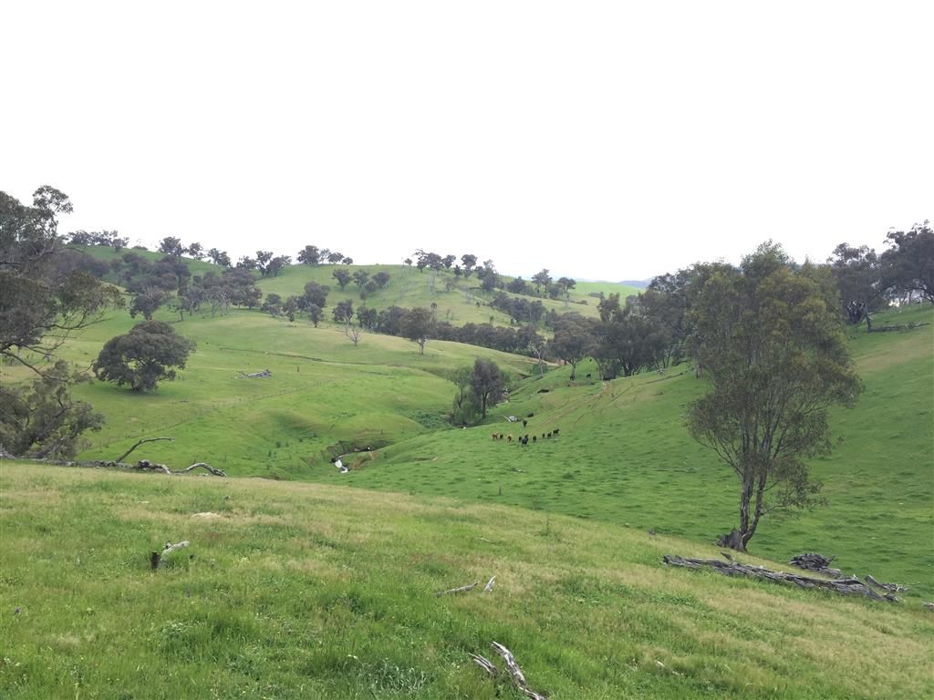 3938 Snowy Mountains Highway, Adelong, NSW 2729