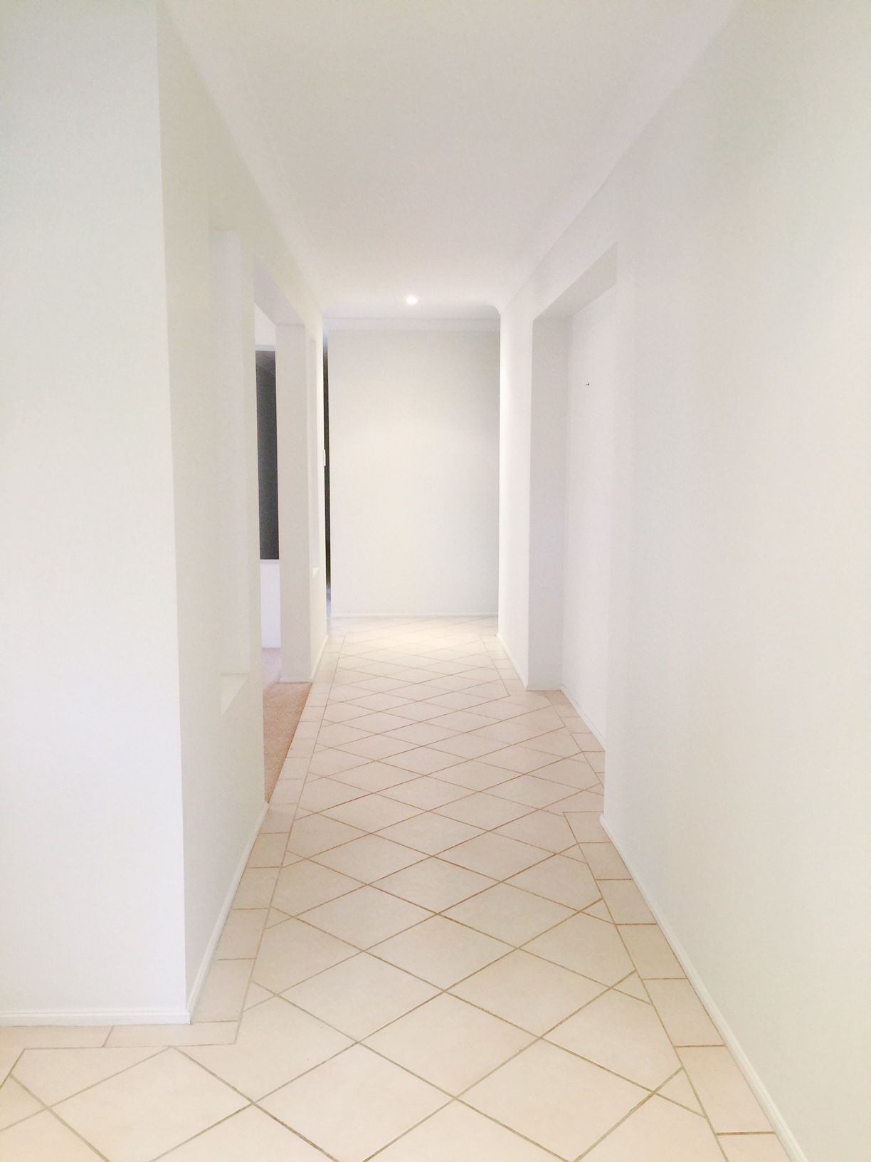 10 Bottlebrush Boulevarde, Fletcher, NSW 2287