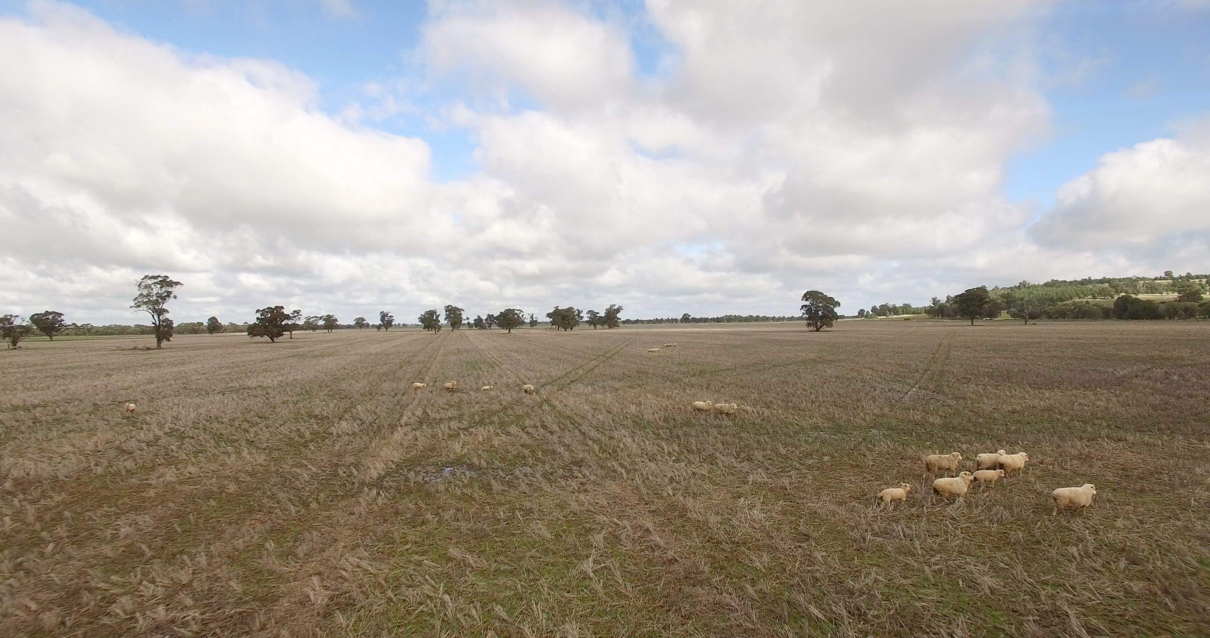 3493 Strontian Road, Narrandera, NSW 2700