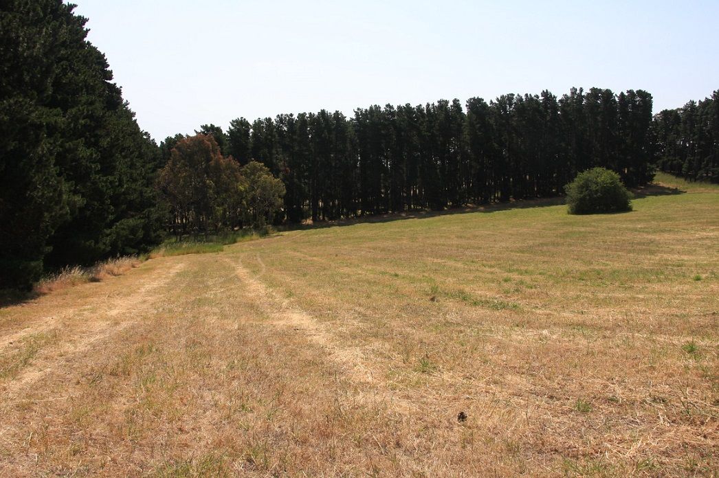 Lot 64 Gould Road, Mount Barker Springs, SA 5251