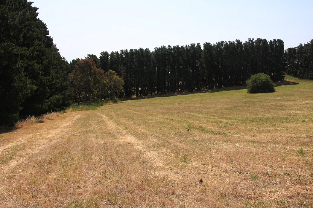 Lot 64 Gould Road, Mount Barker Springs, SA 5251