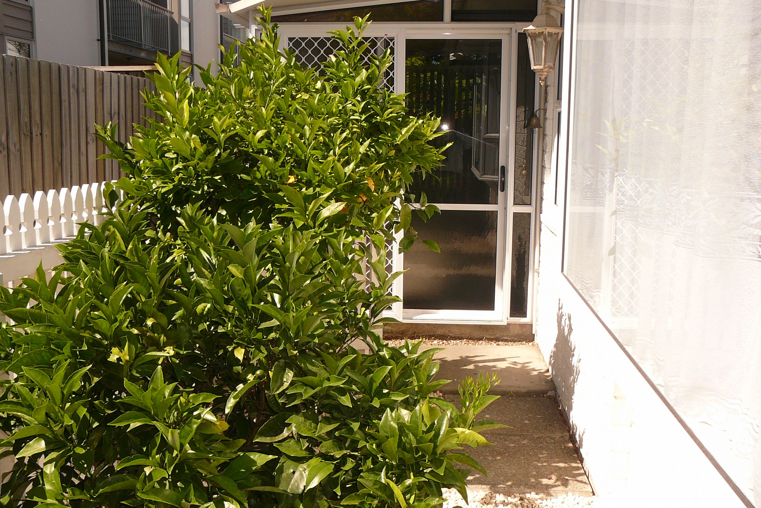5/44 Southampton Street, Sydenham, Christchurch City