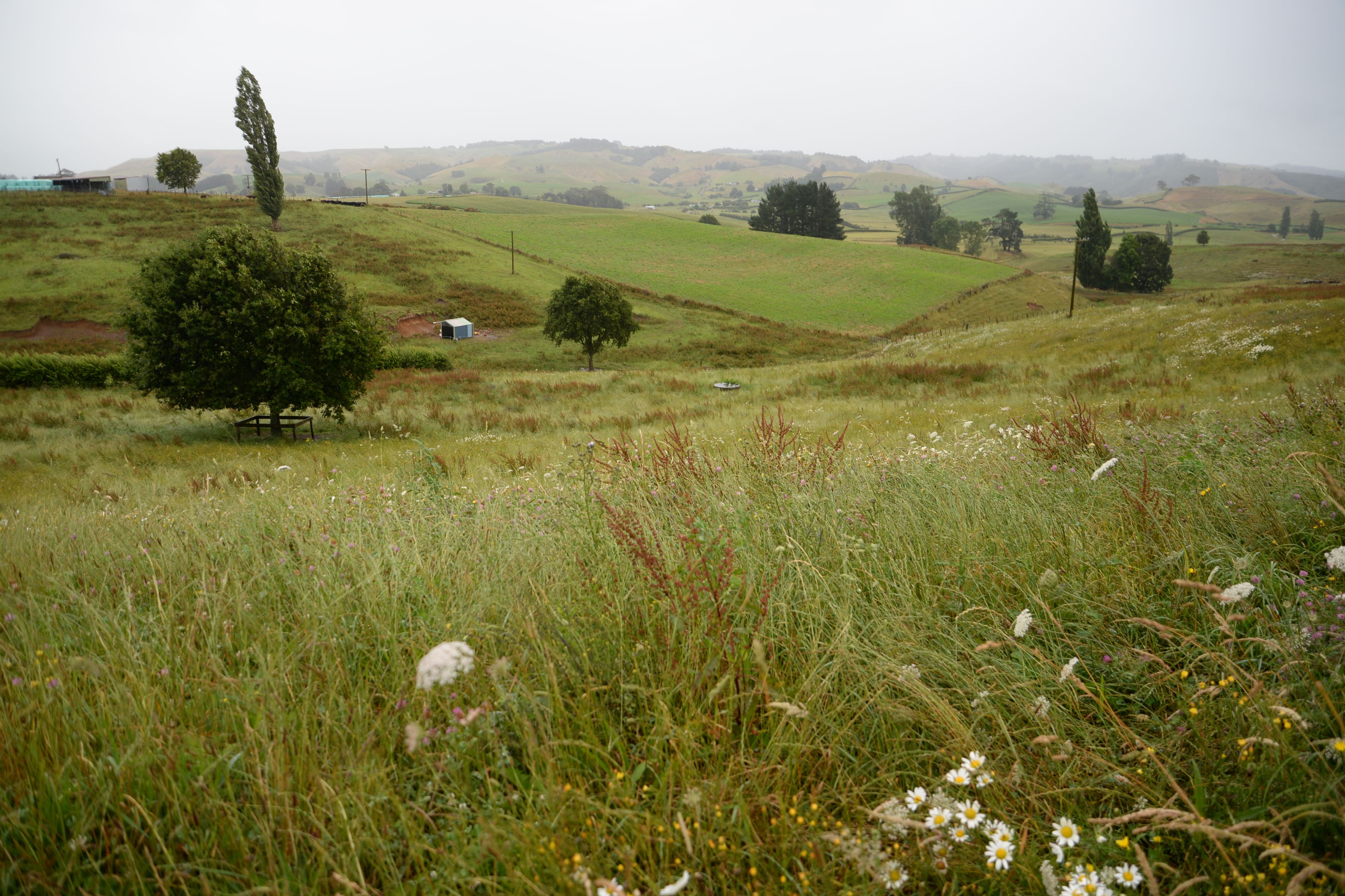 207 Sircombe Road, Otewa, Otorohanga District