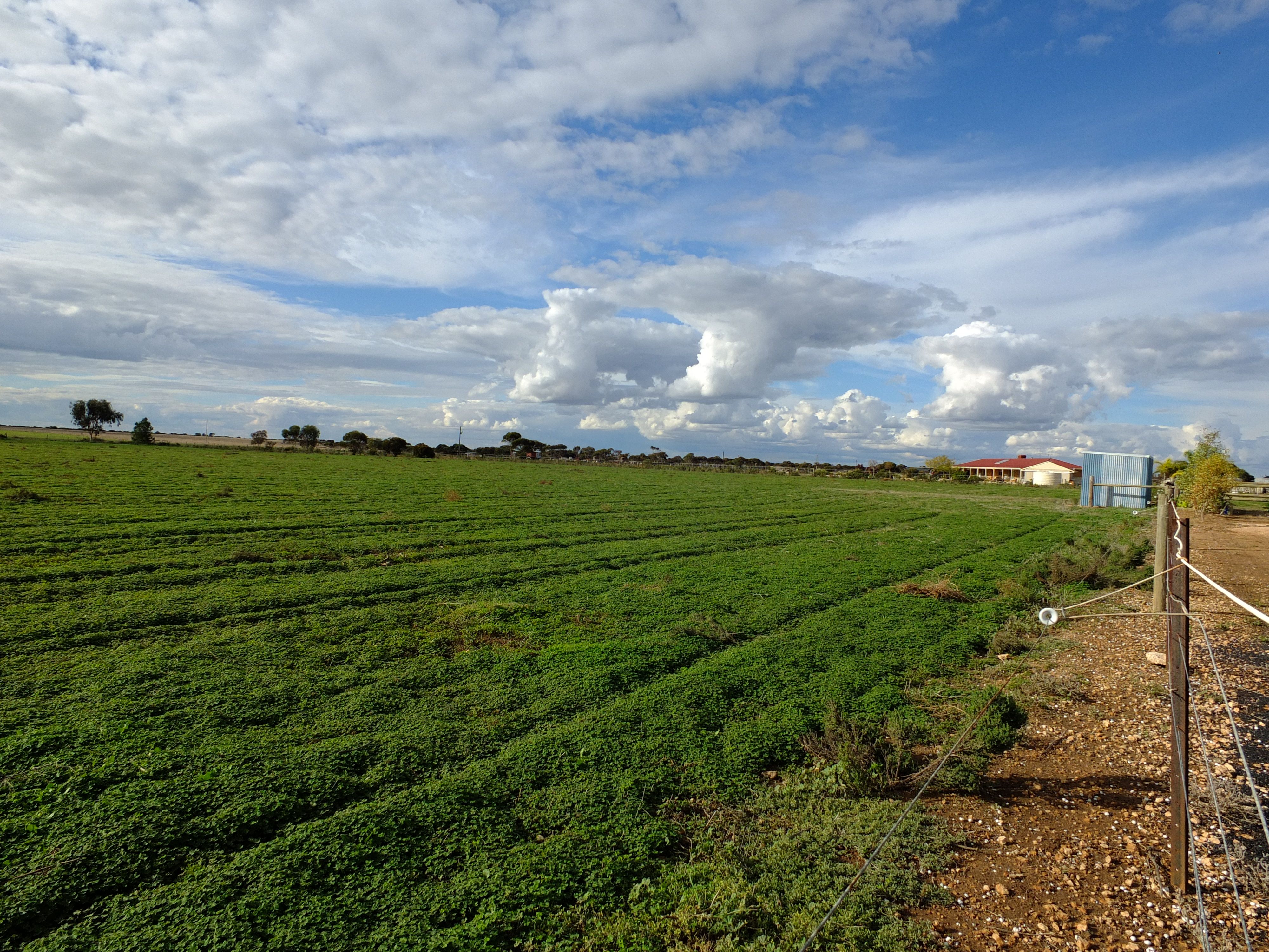 Lot 202 Ellis Road, Wallaroo, SA 5556