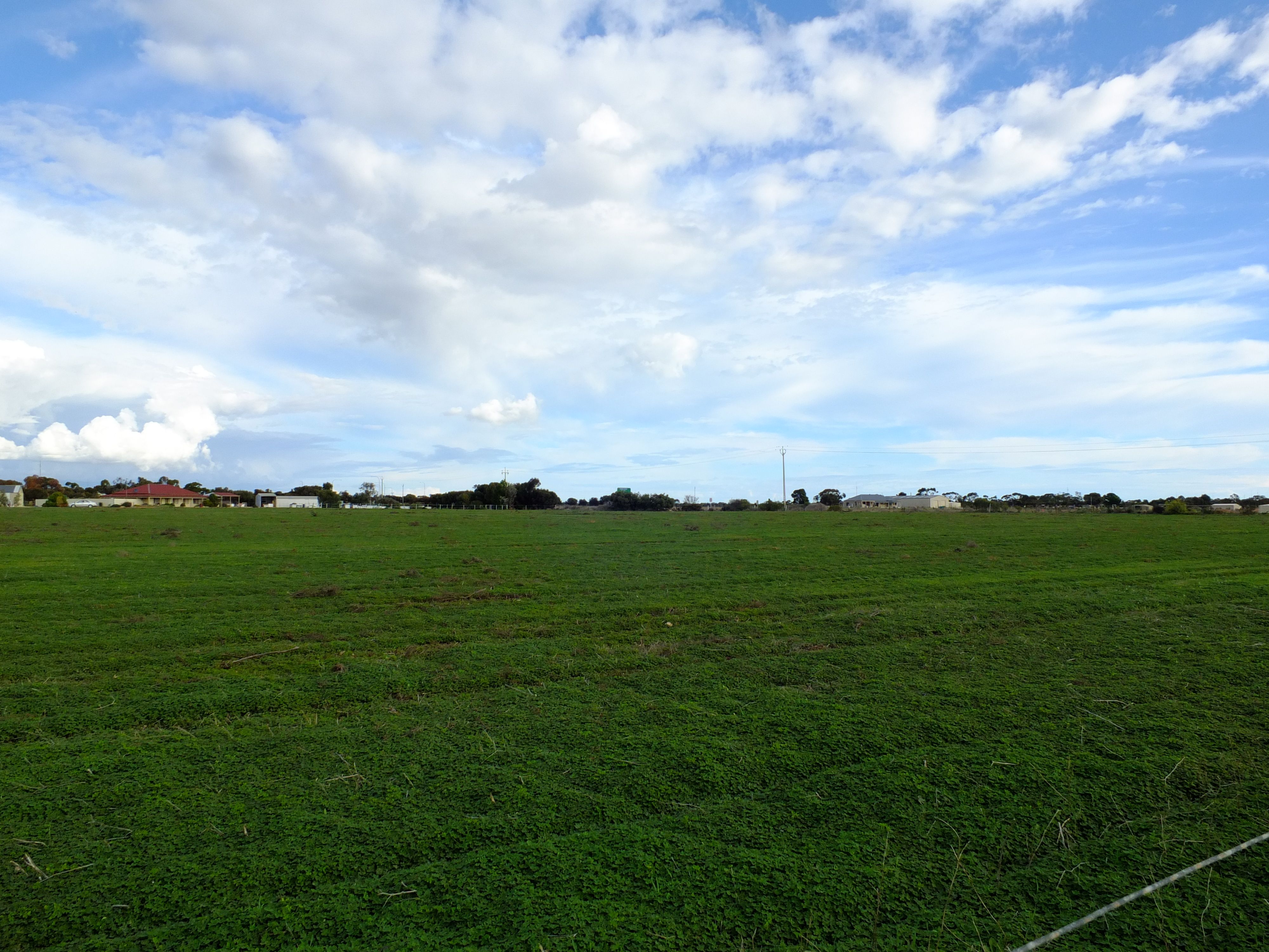 Lot 203 Bowman Road, Wallaroo, SA 5556
