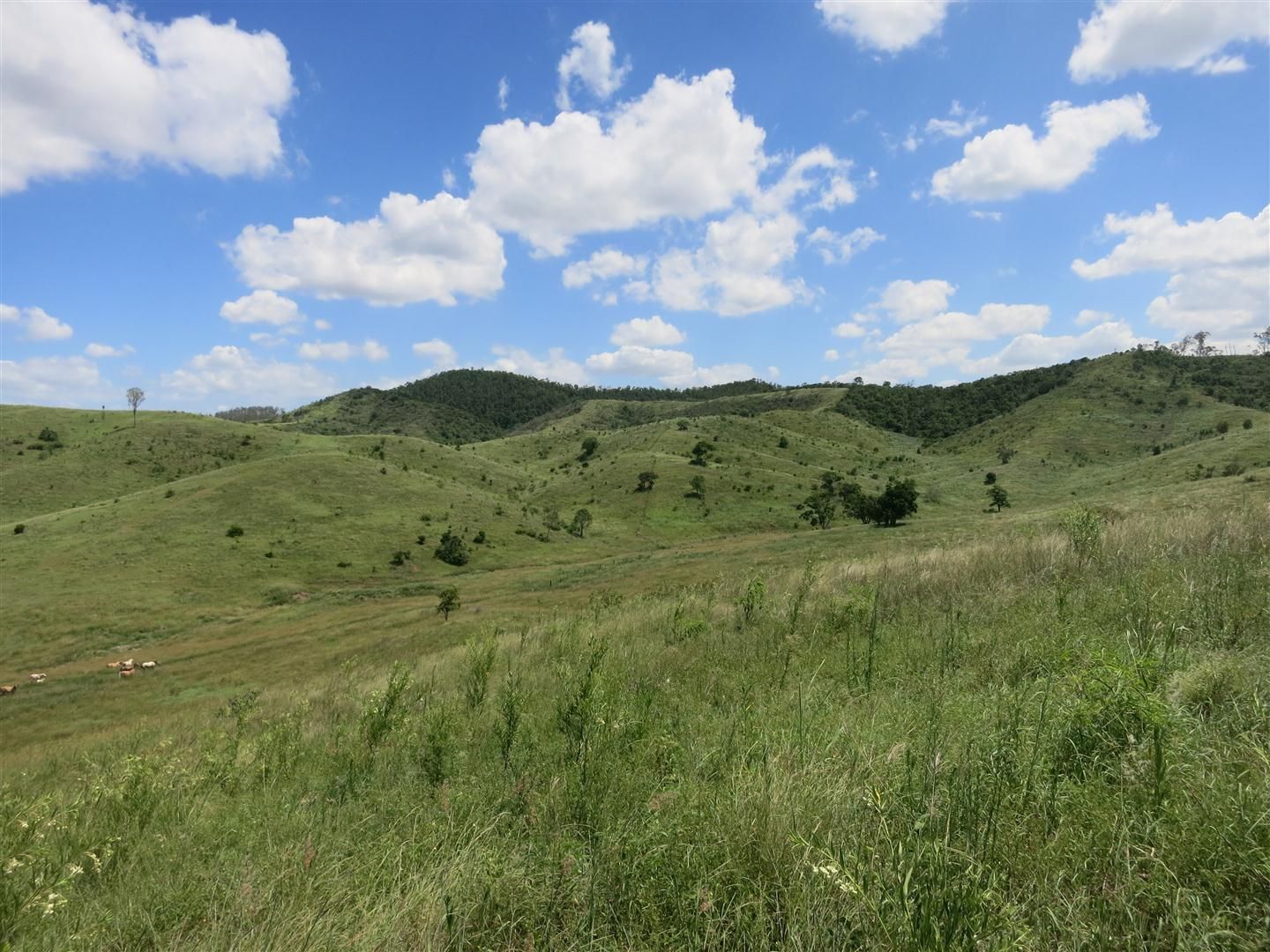 469 Cedarvale Loop Road, Bracewell, QLD 4695