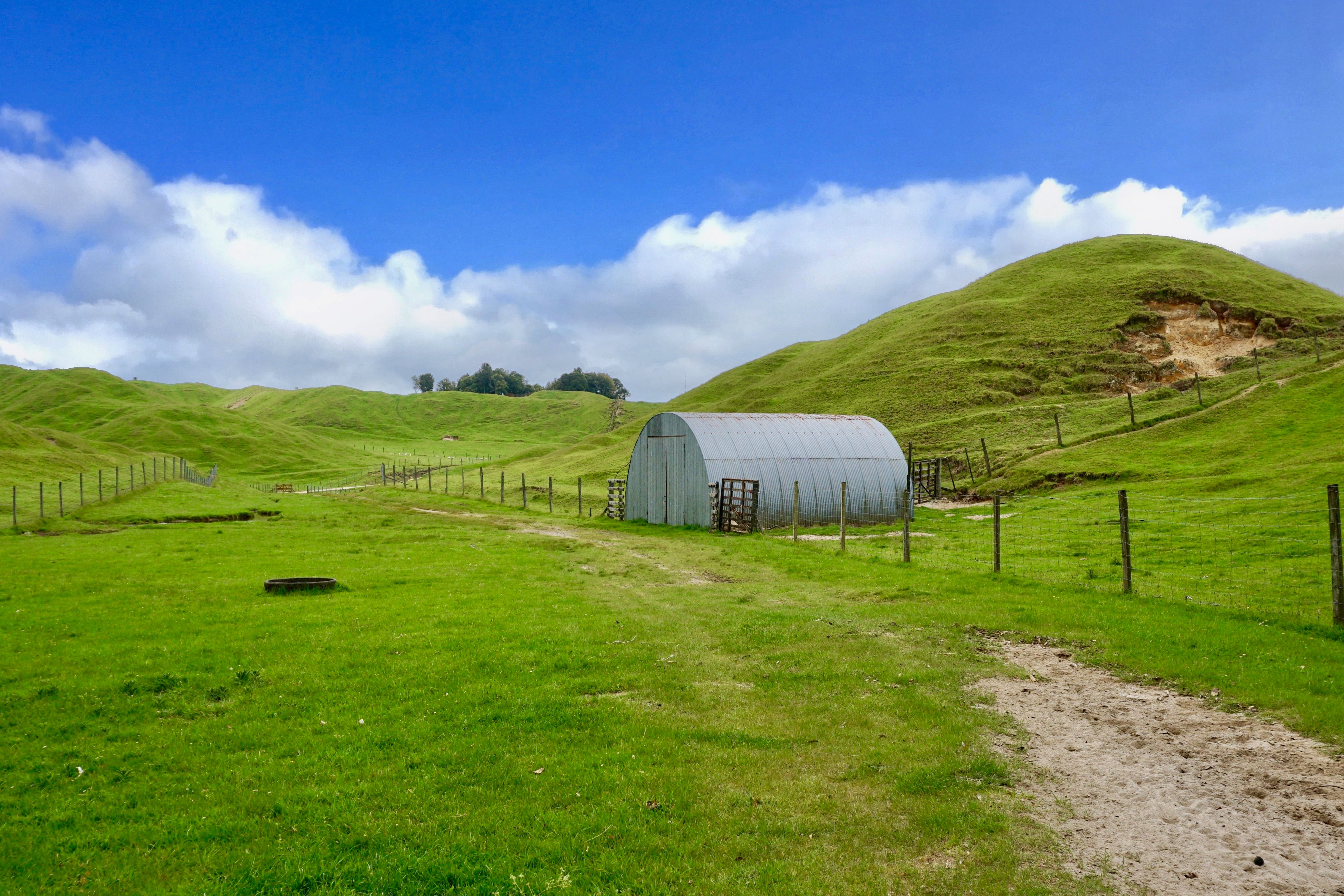 1994 Manawahe Road, Pikowai, Whakatane District
