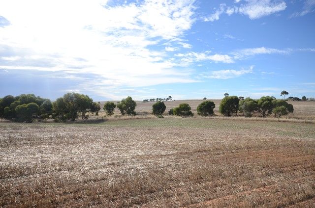 Lot 446 Carmody Road, Leighton, SA 5417